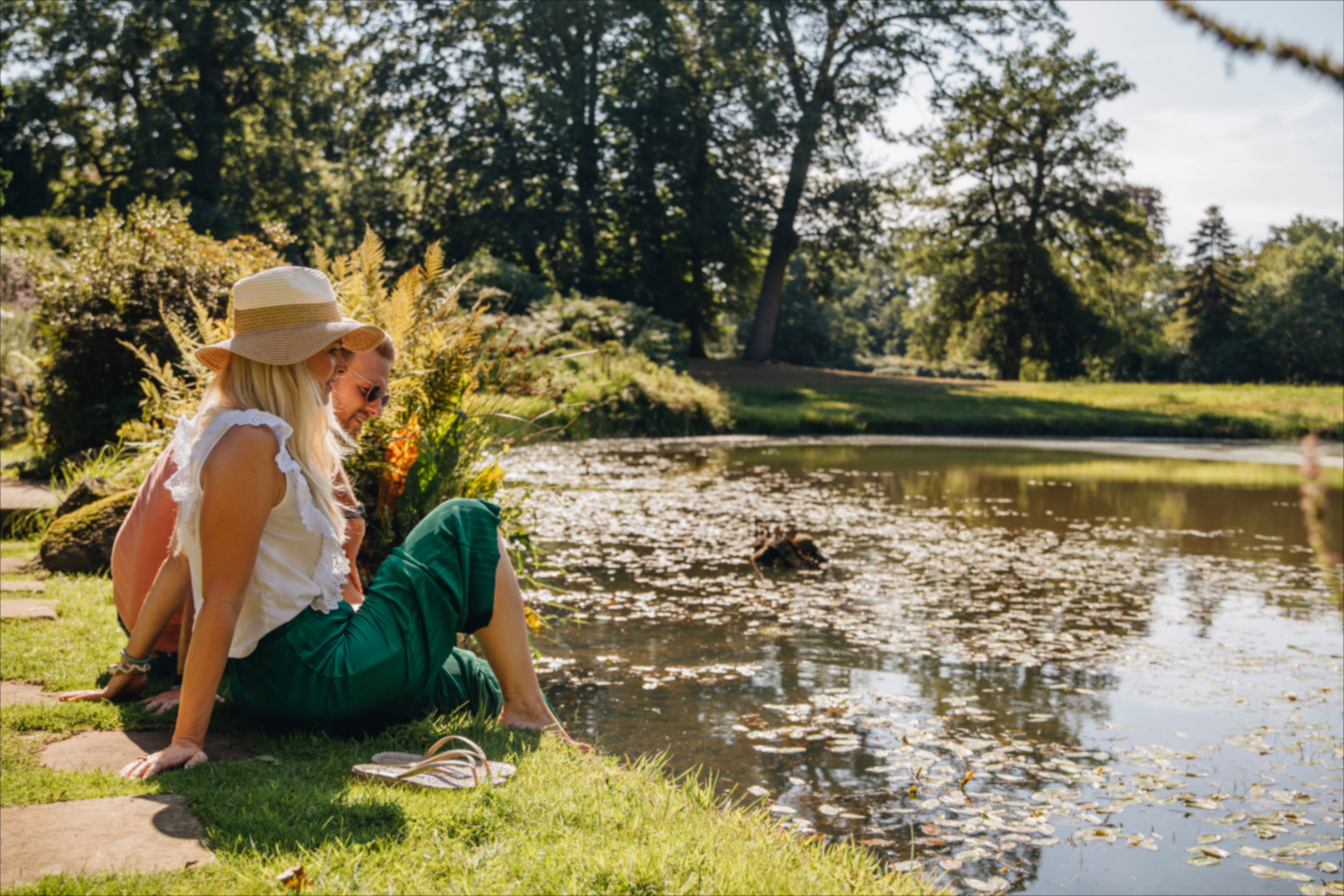- image: 42