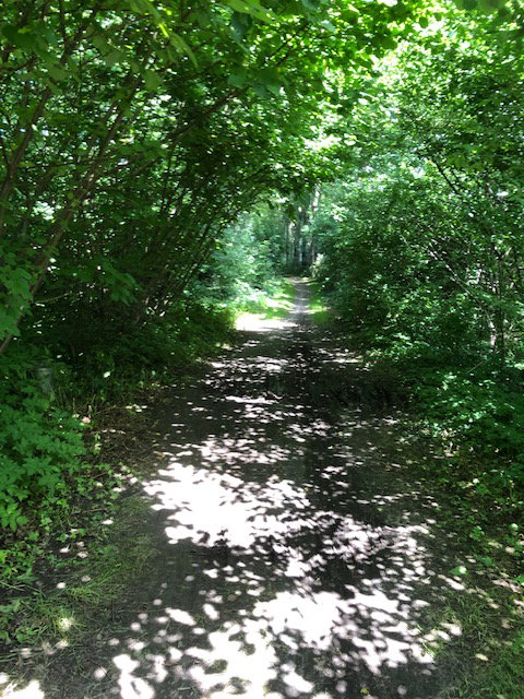 Naturhäuschen in Ruurlo
