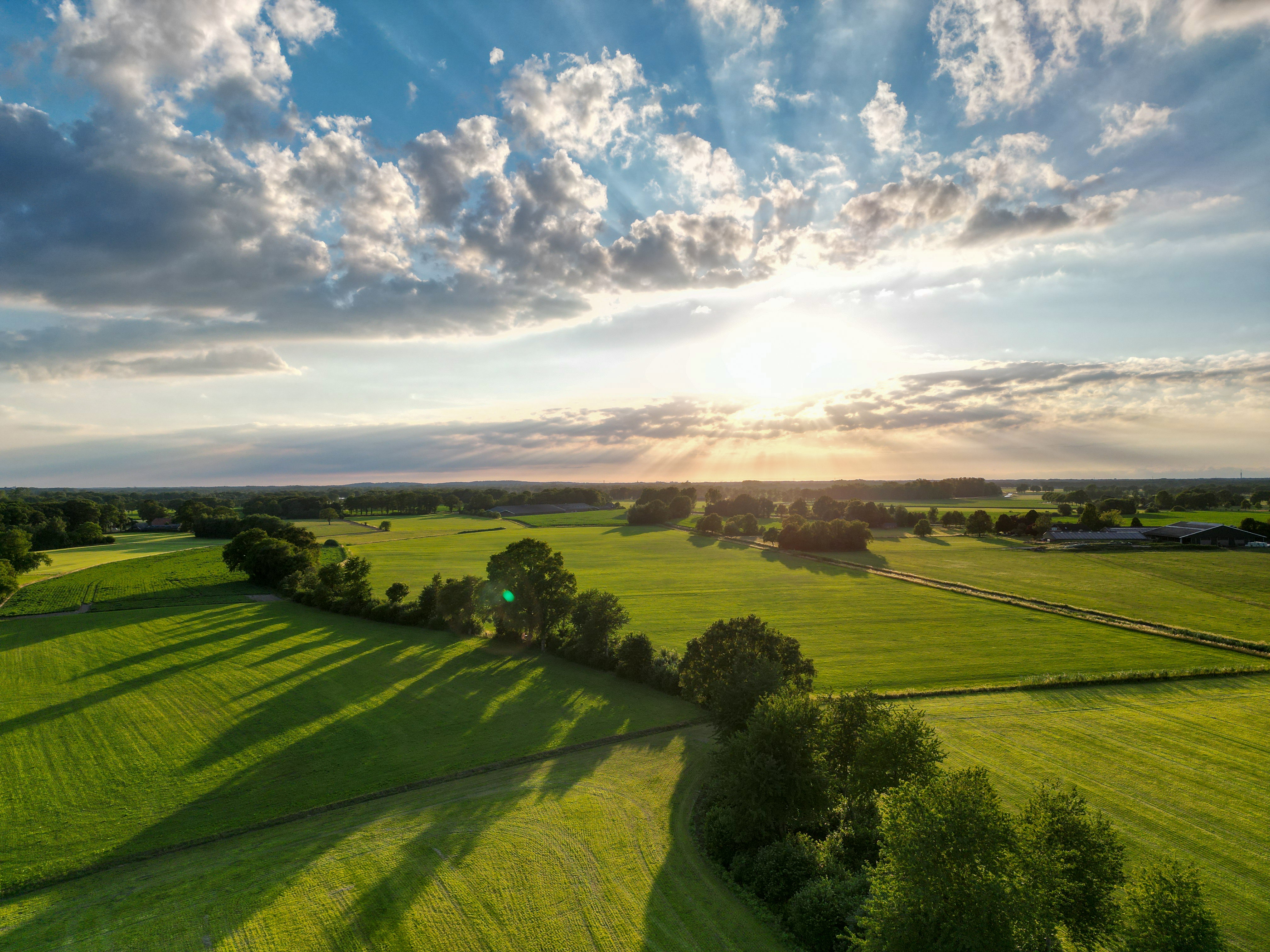 Naturhäuschen in Neede