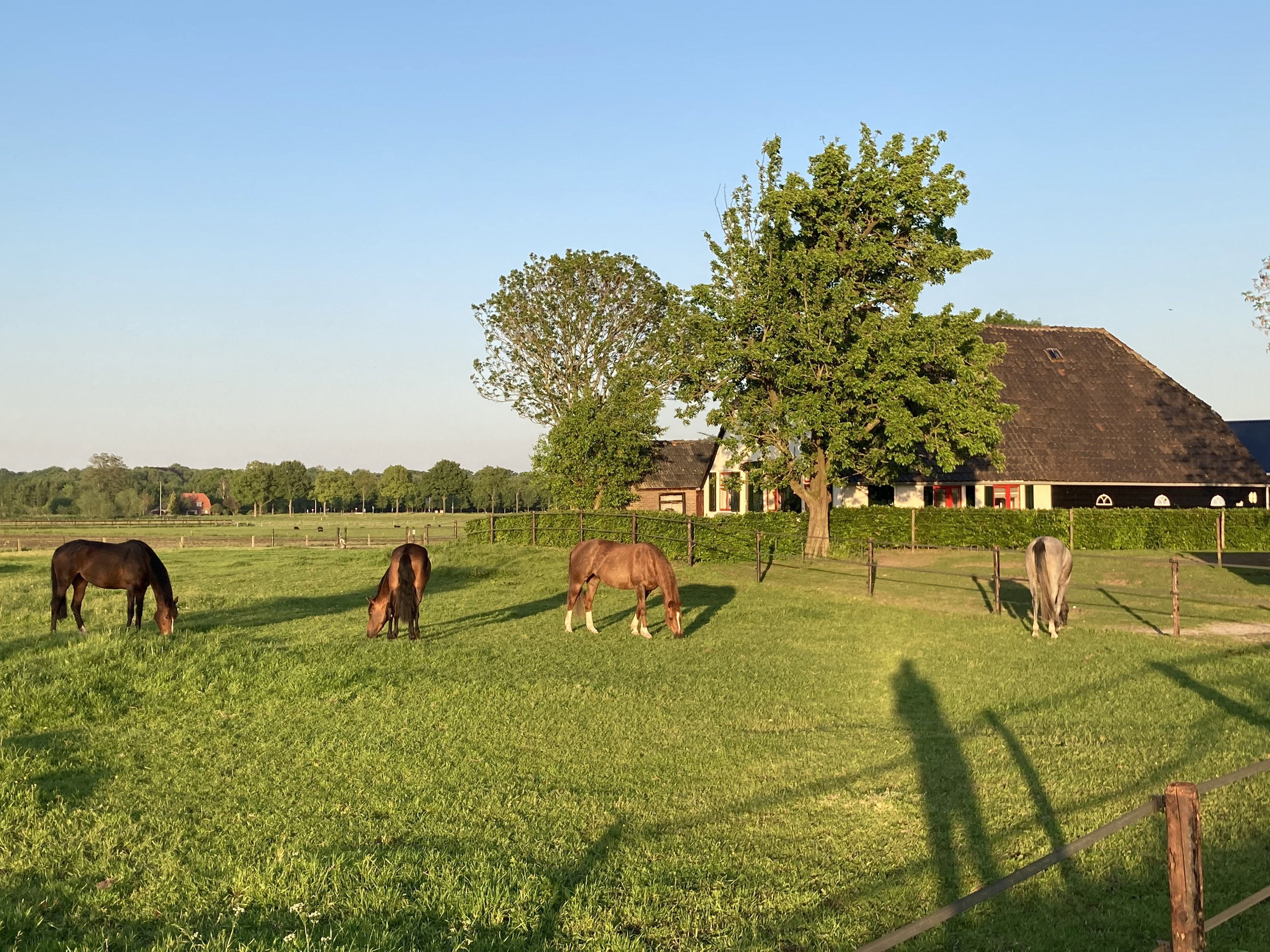 Naturhäuschen in Wezep