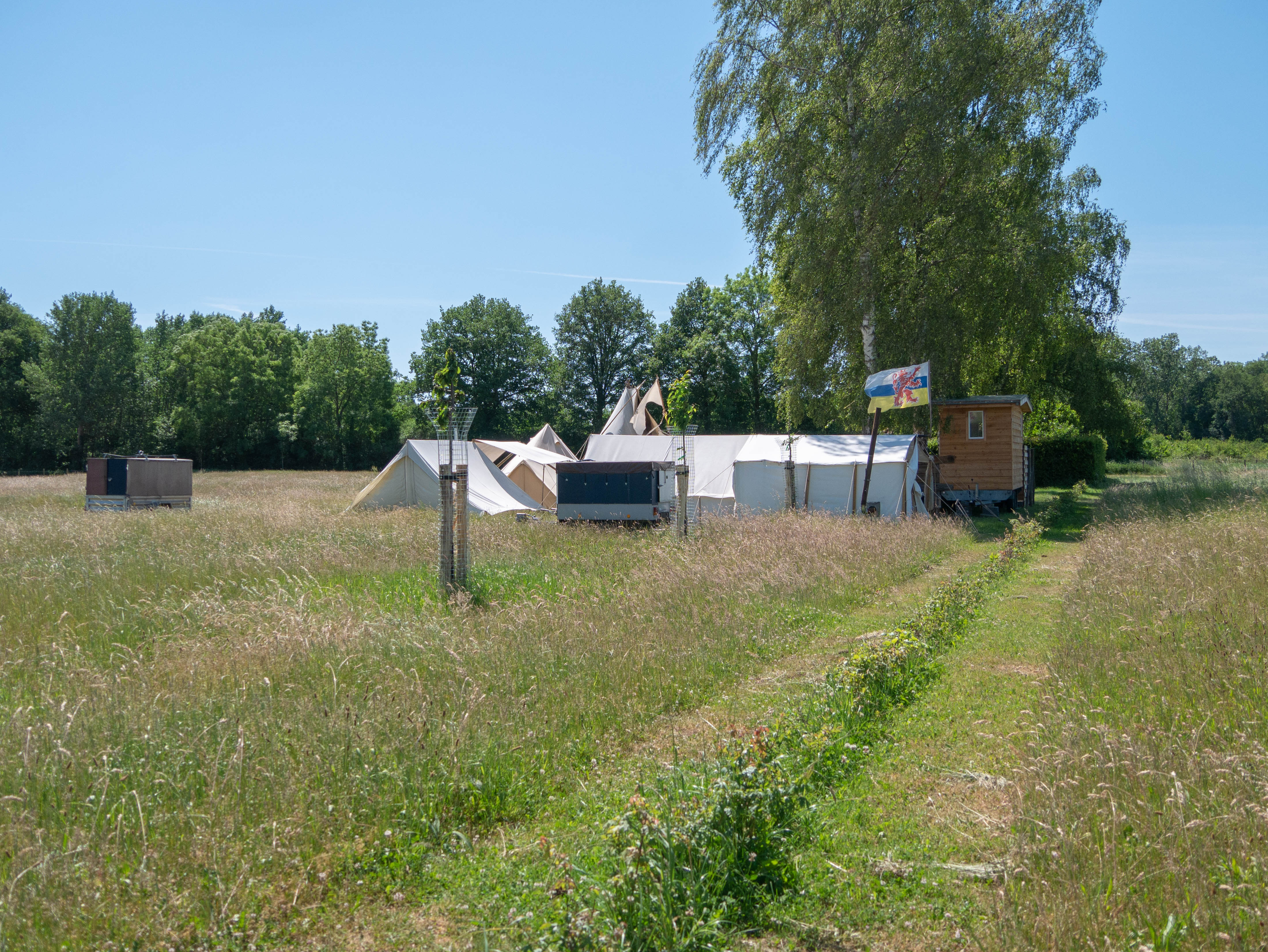 - image: 1