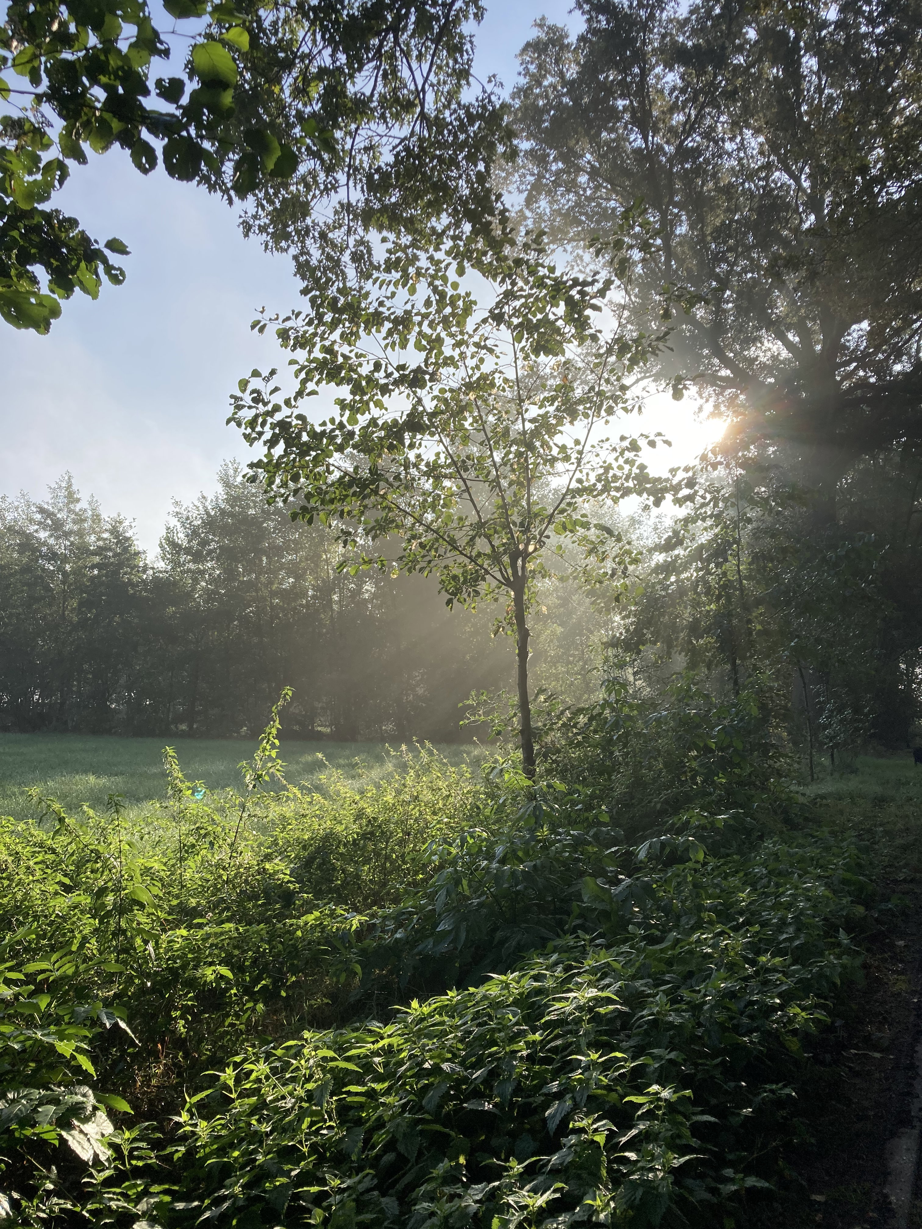 Naturhäuschen in Halle