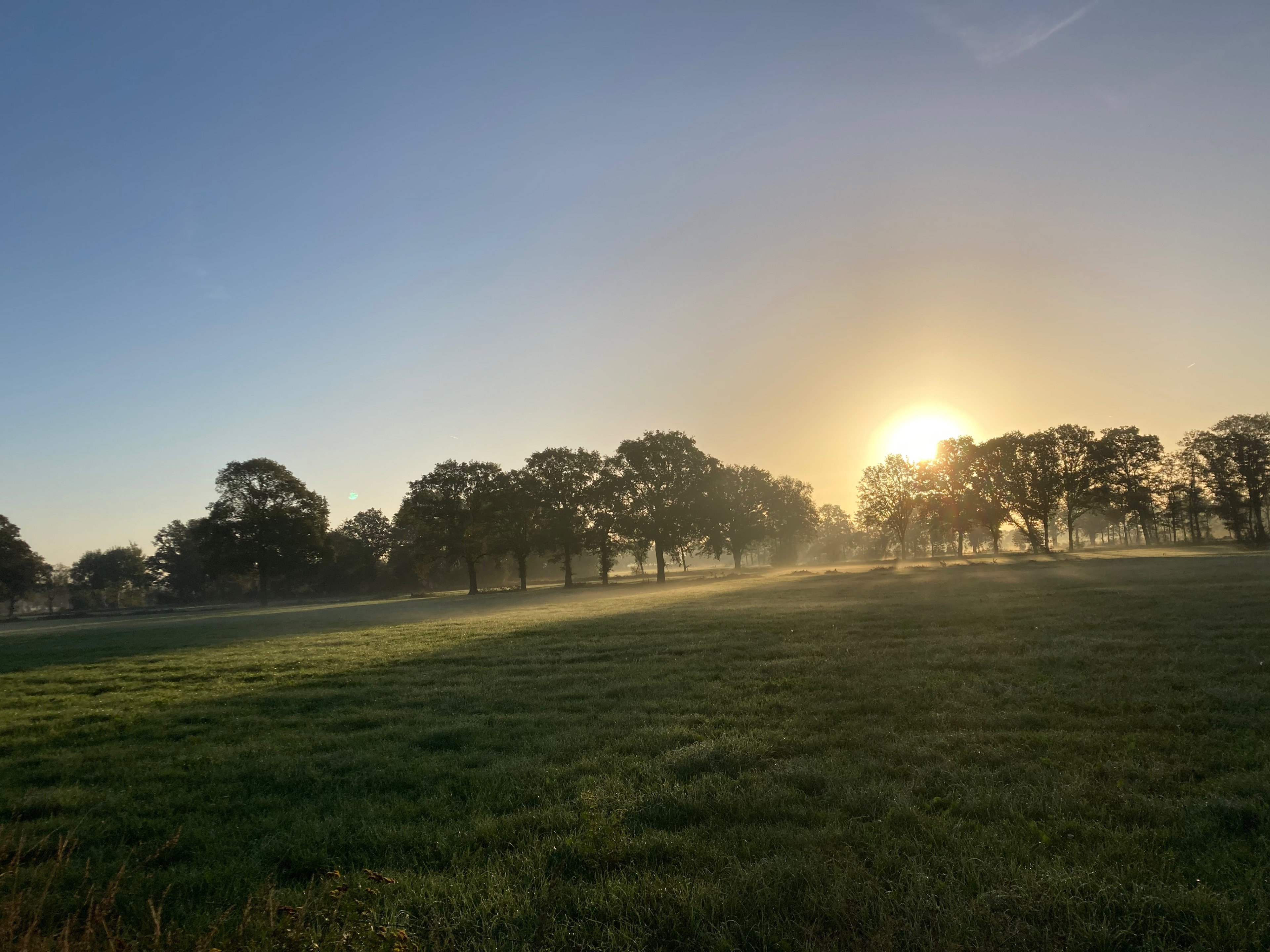 Naturhäuschen in Halle