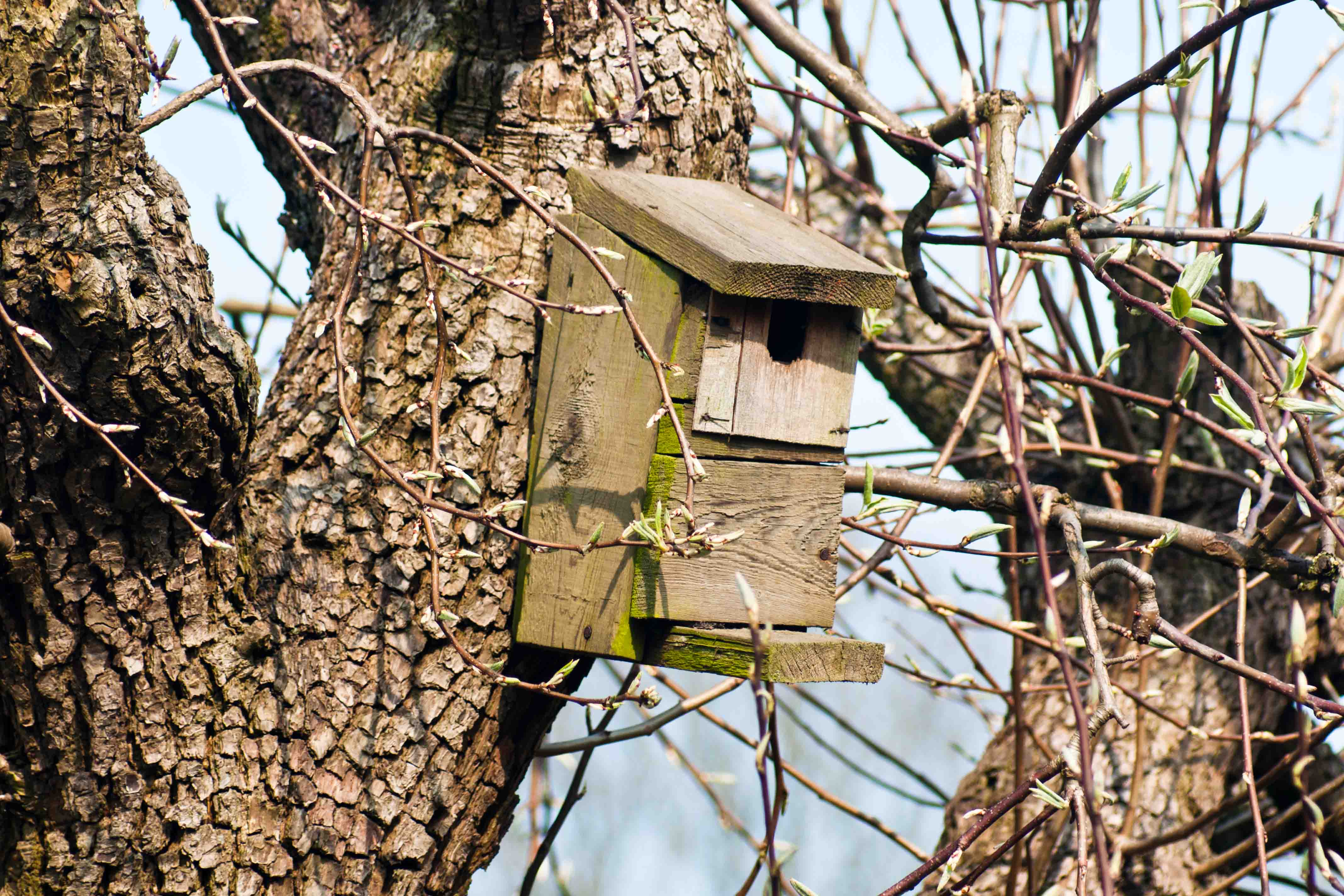 Naturhäuschen in Velden