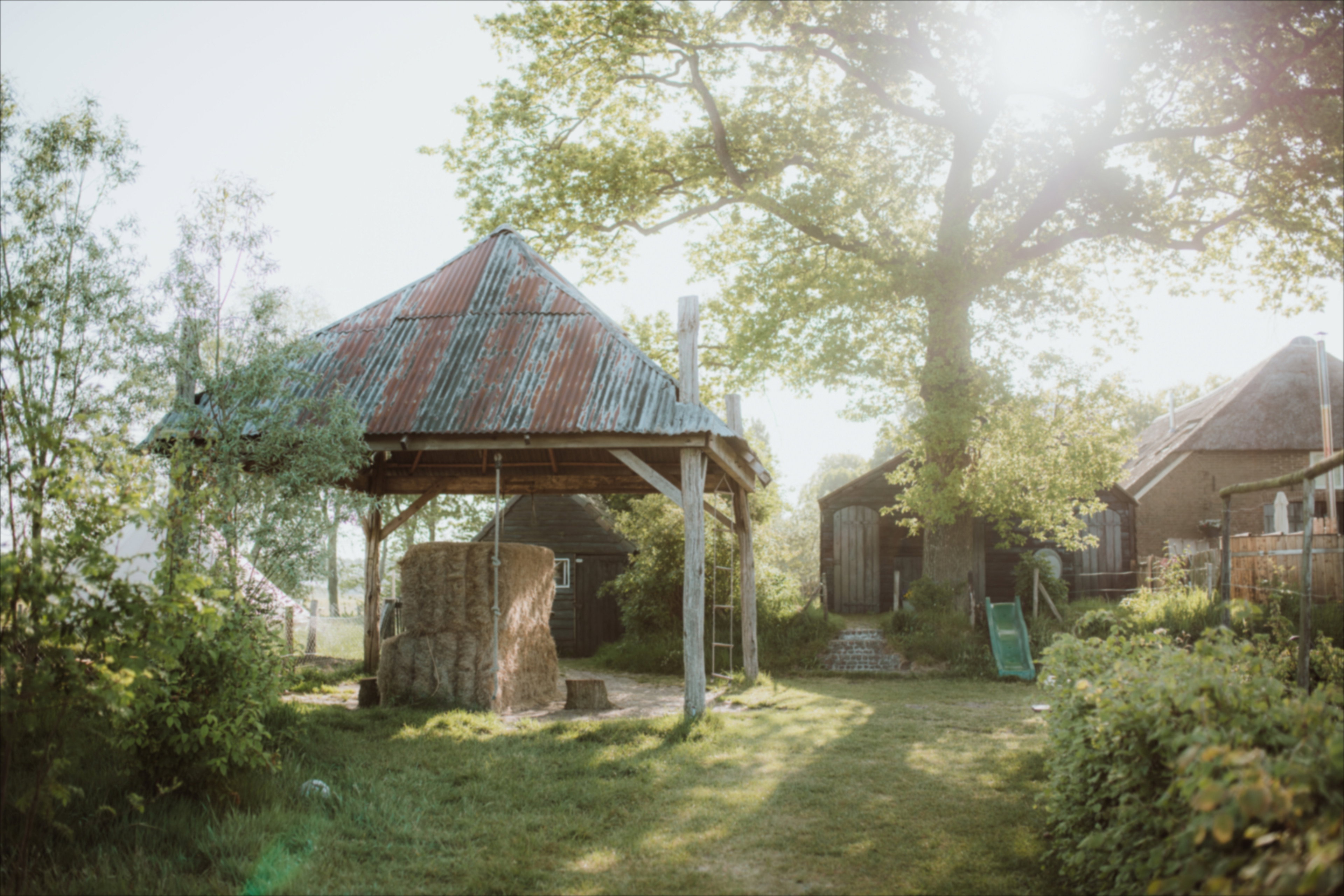 - image: 16