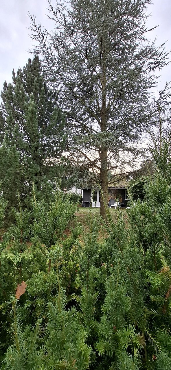 Casa nella natura a Bad Sachsa
