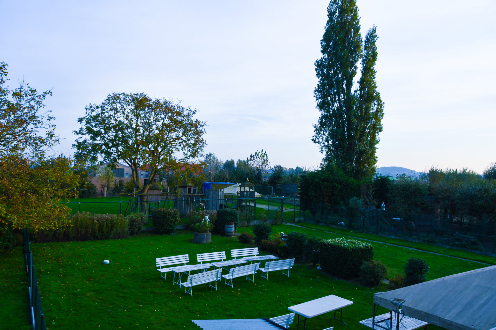 - image: 12