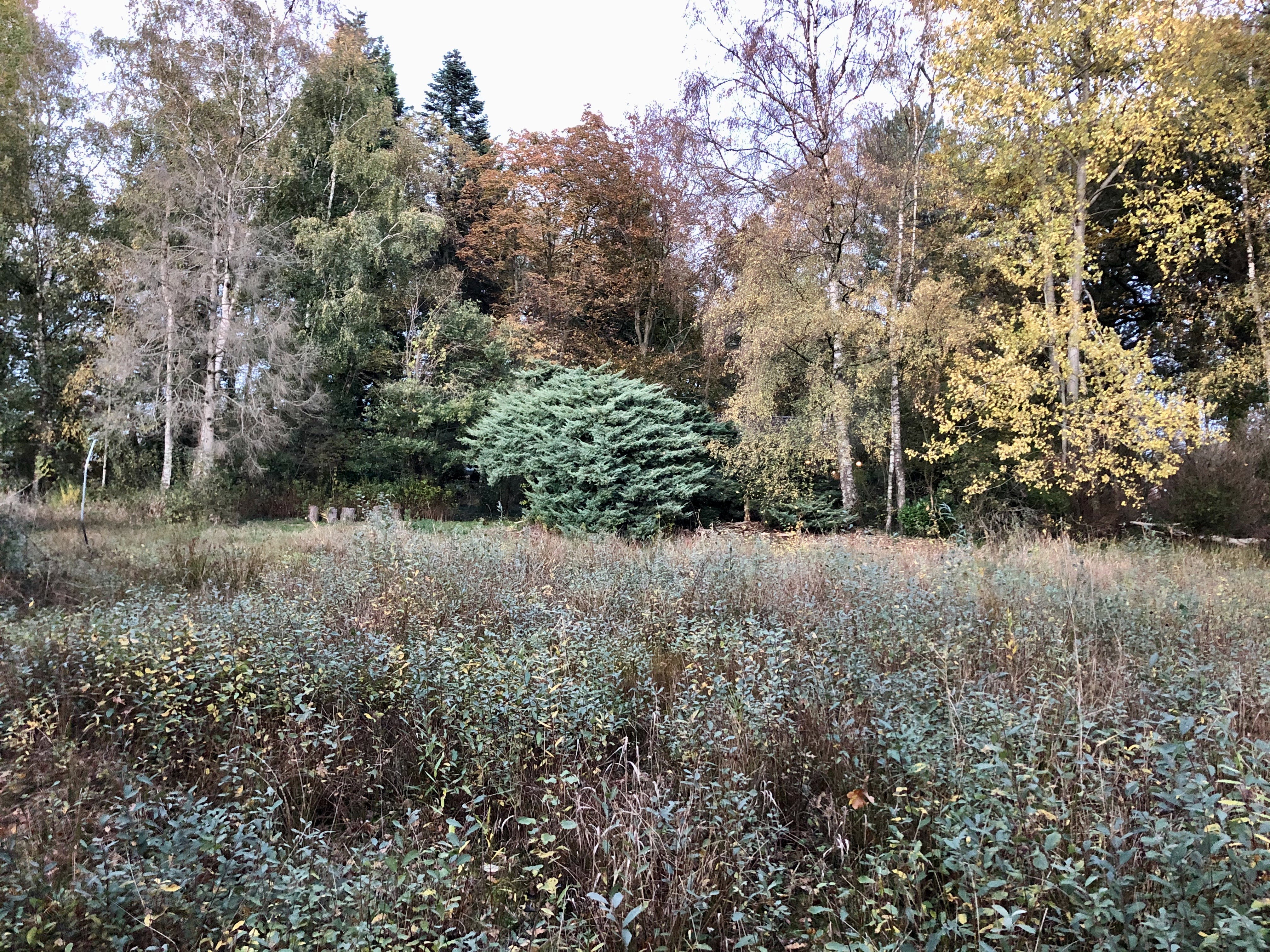 Maison nature à Varsseveld