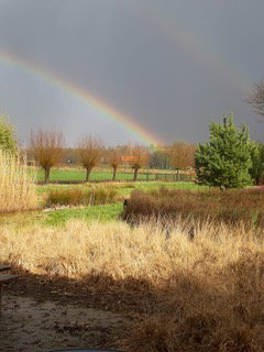 - image: 23