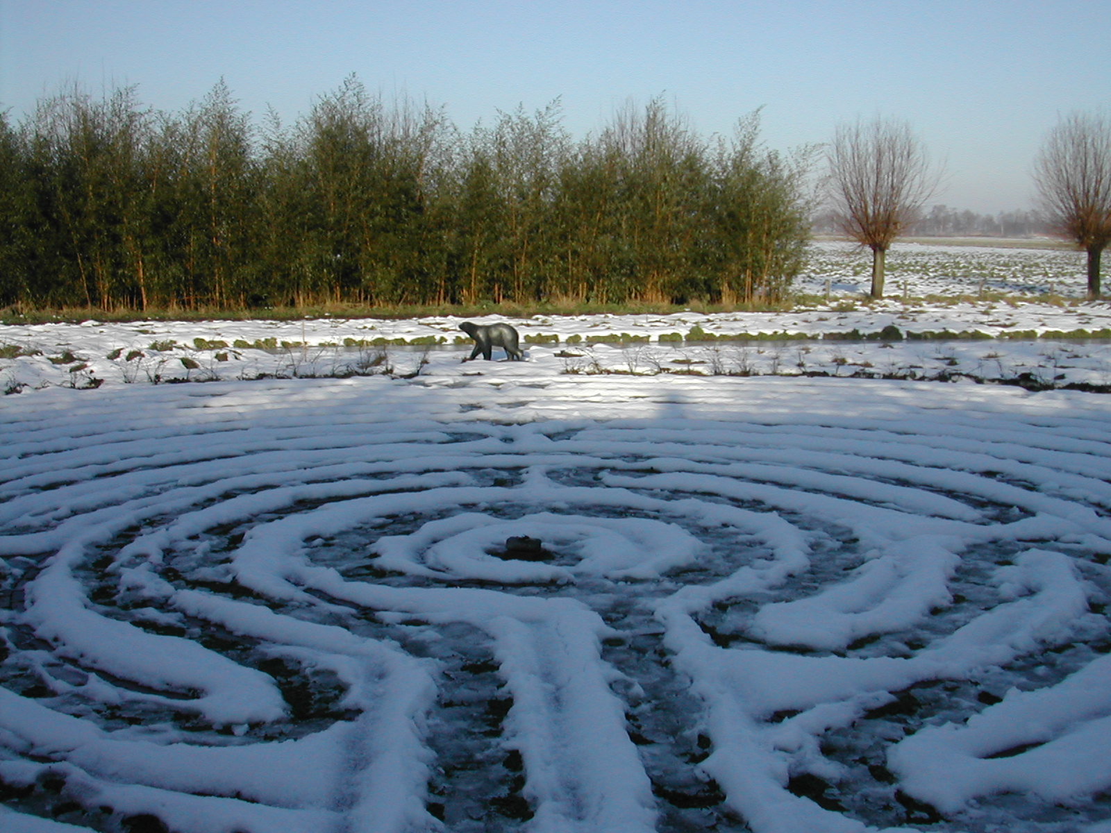 - image: 12