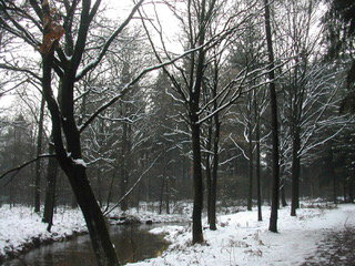 - image: 25