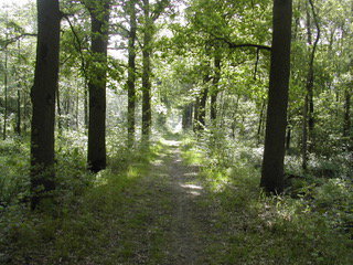 - image: 19