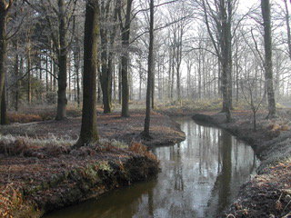 - image: 24