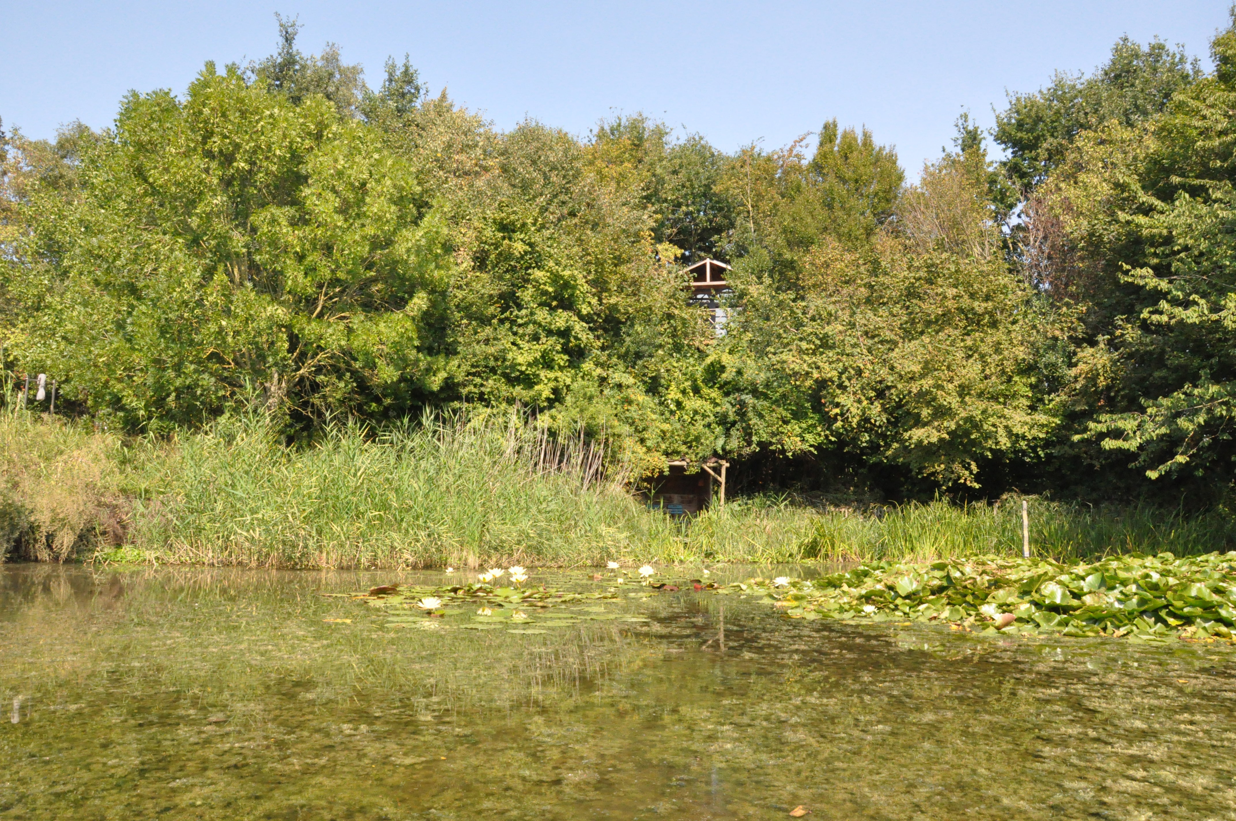 Maison nature à Emelgem