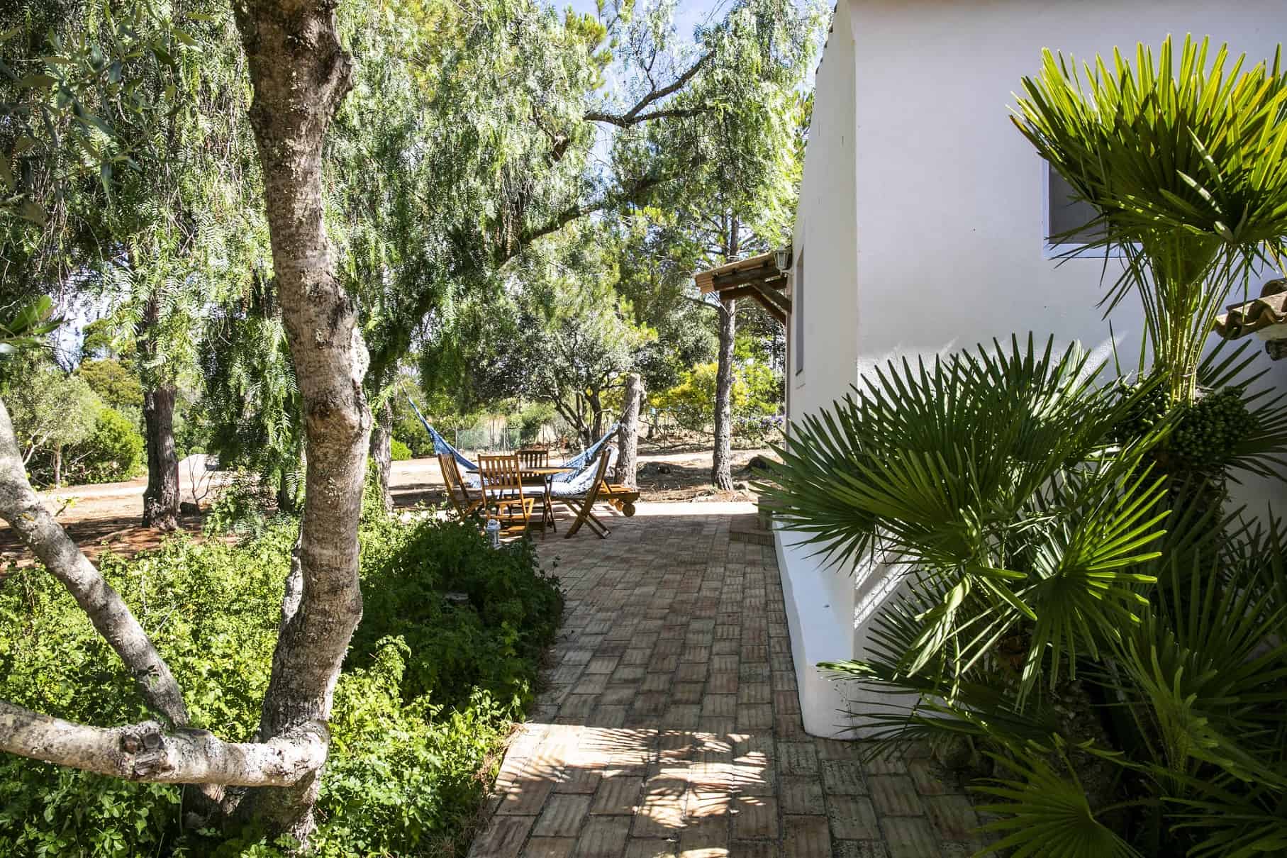 Natuurhuisje in Barão de São João