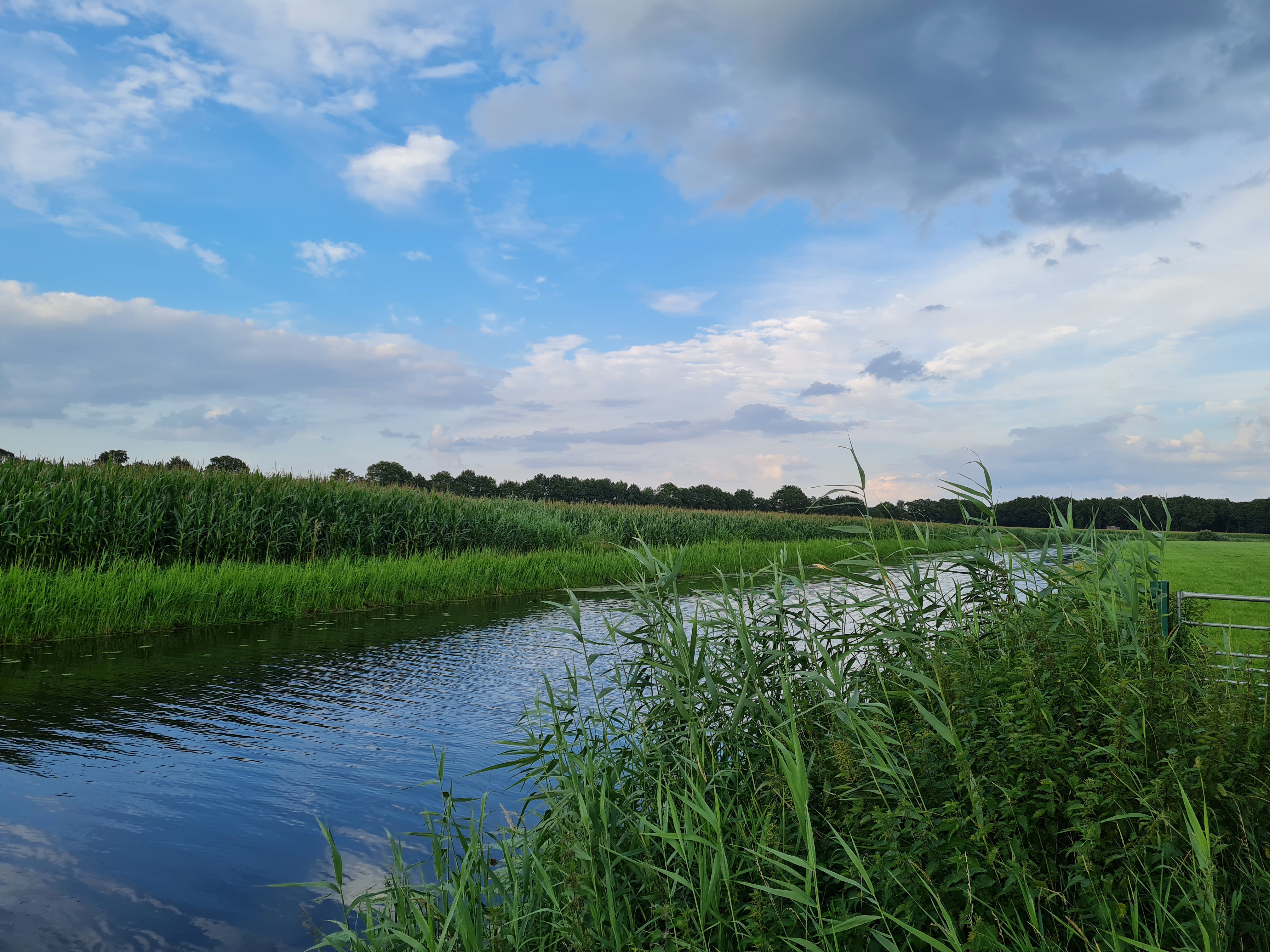 - image: 28
