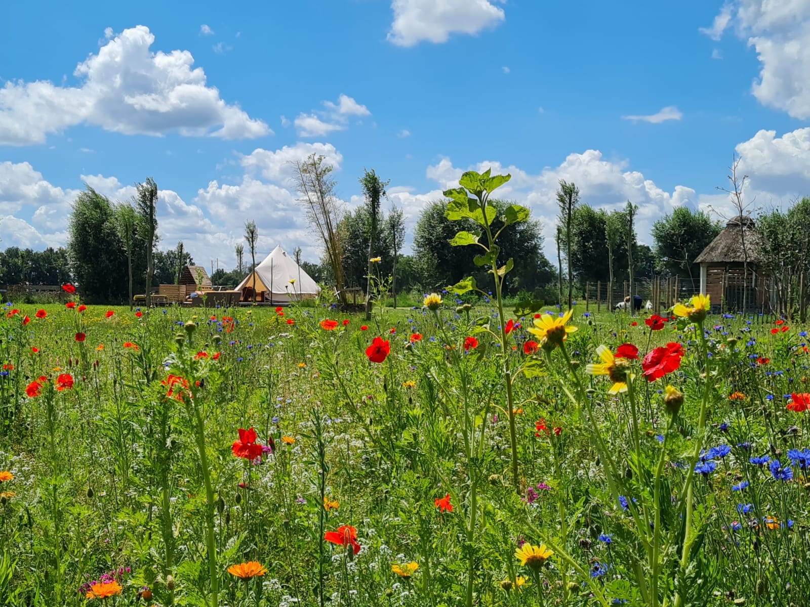 Casa nella natura a Erp