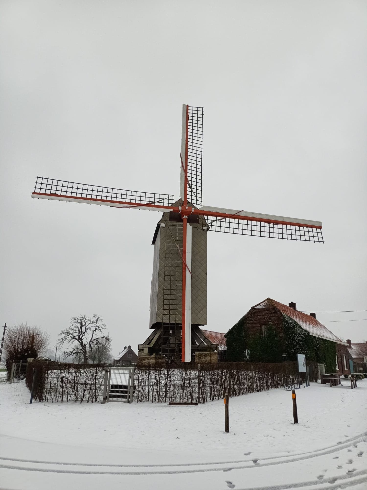 - image: 17