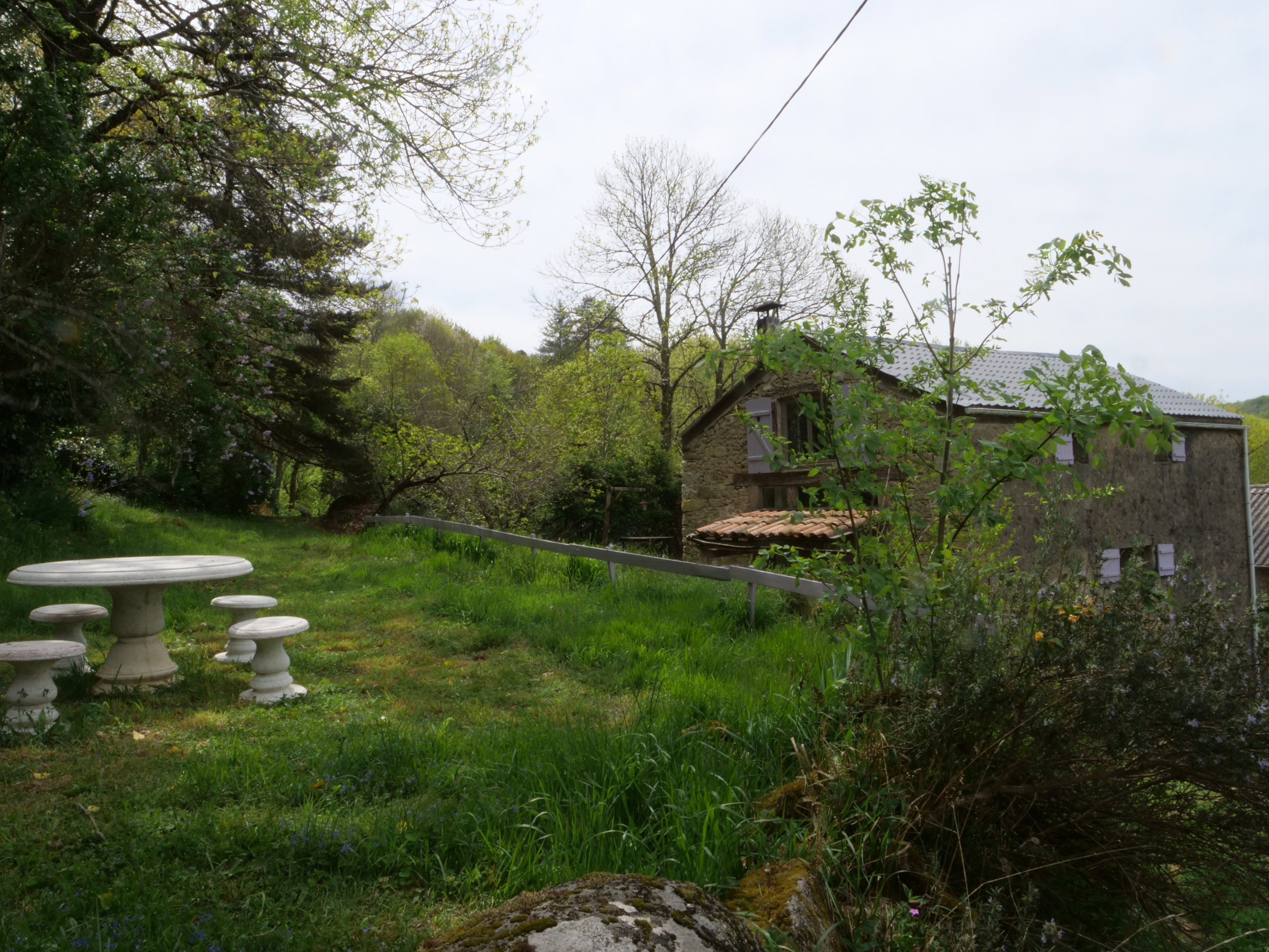 - image: 12