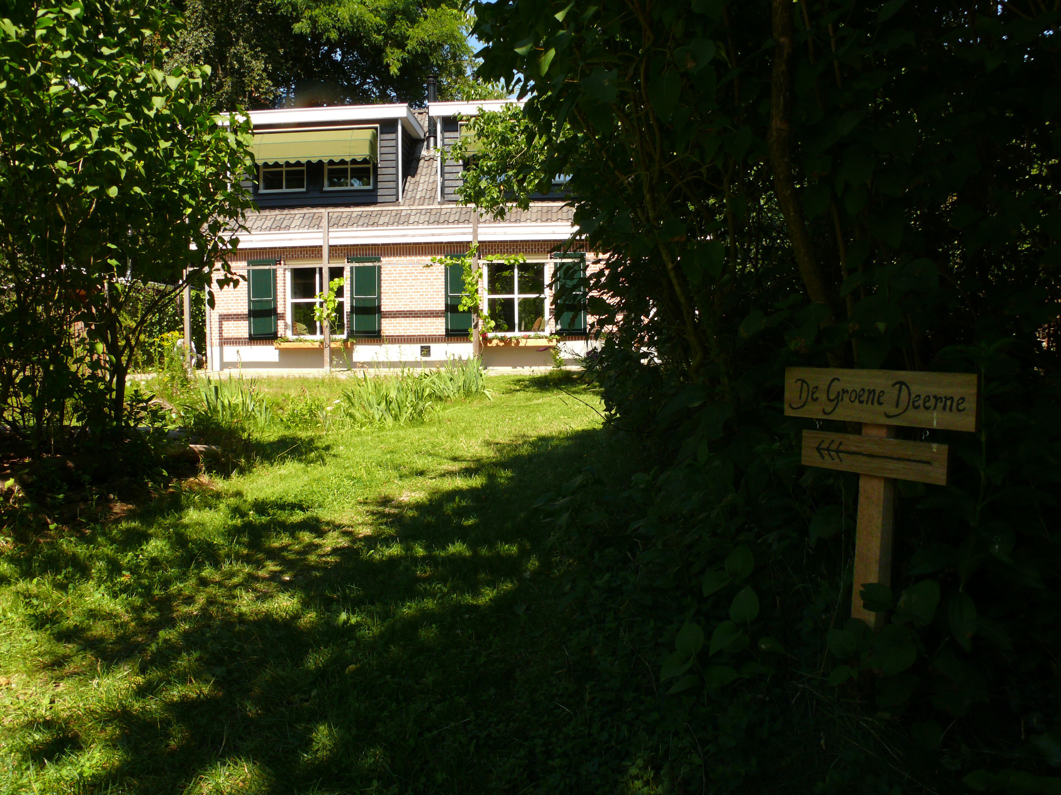 - image: 13