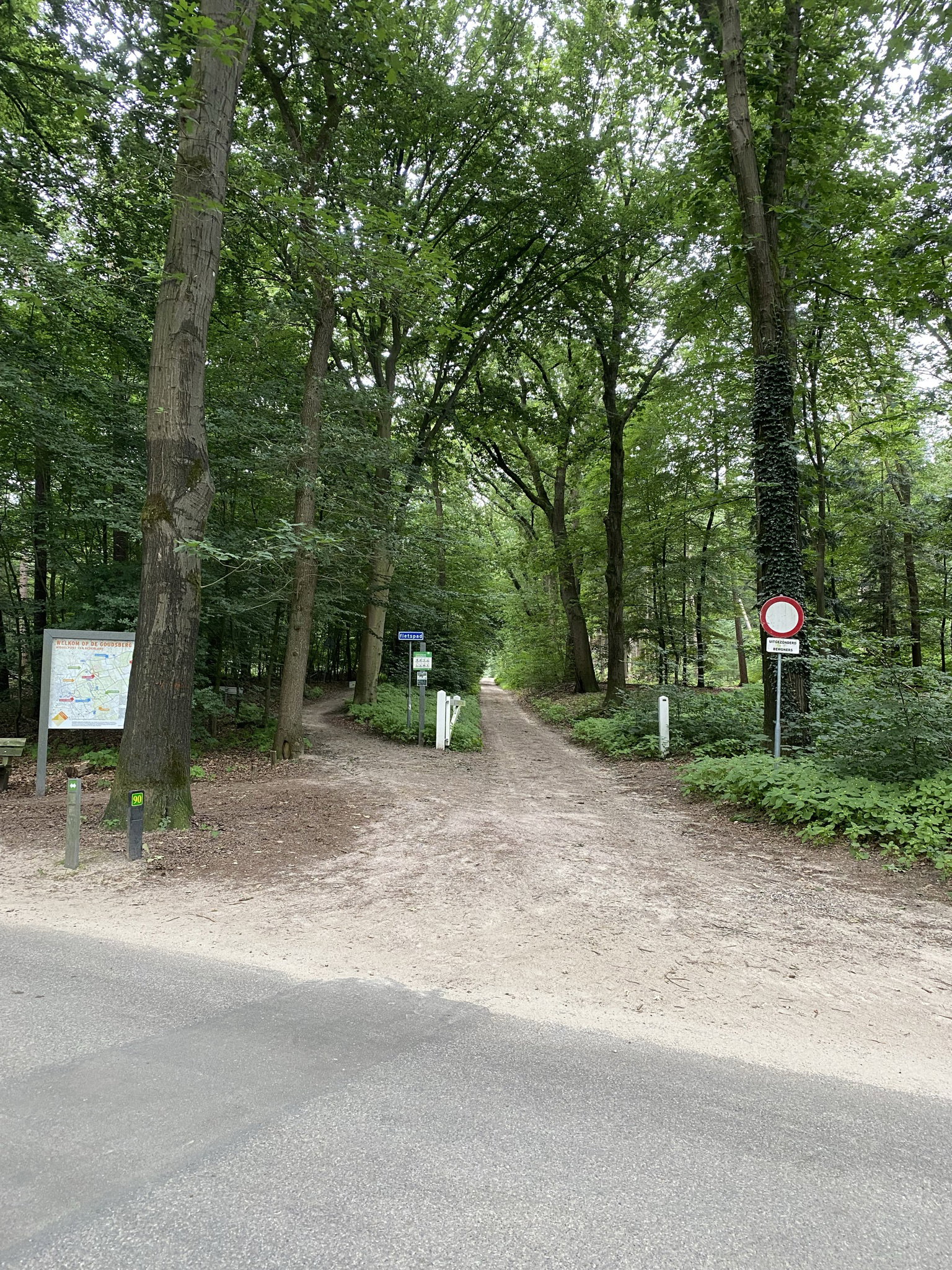 - image: 24