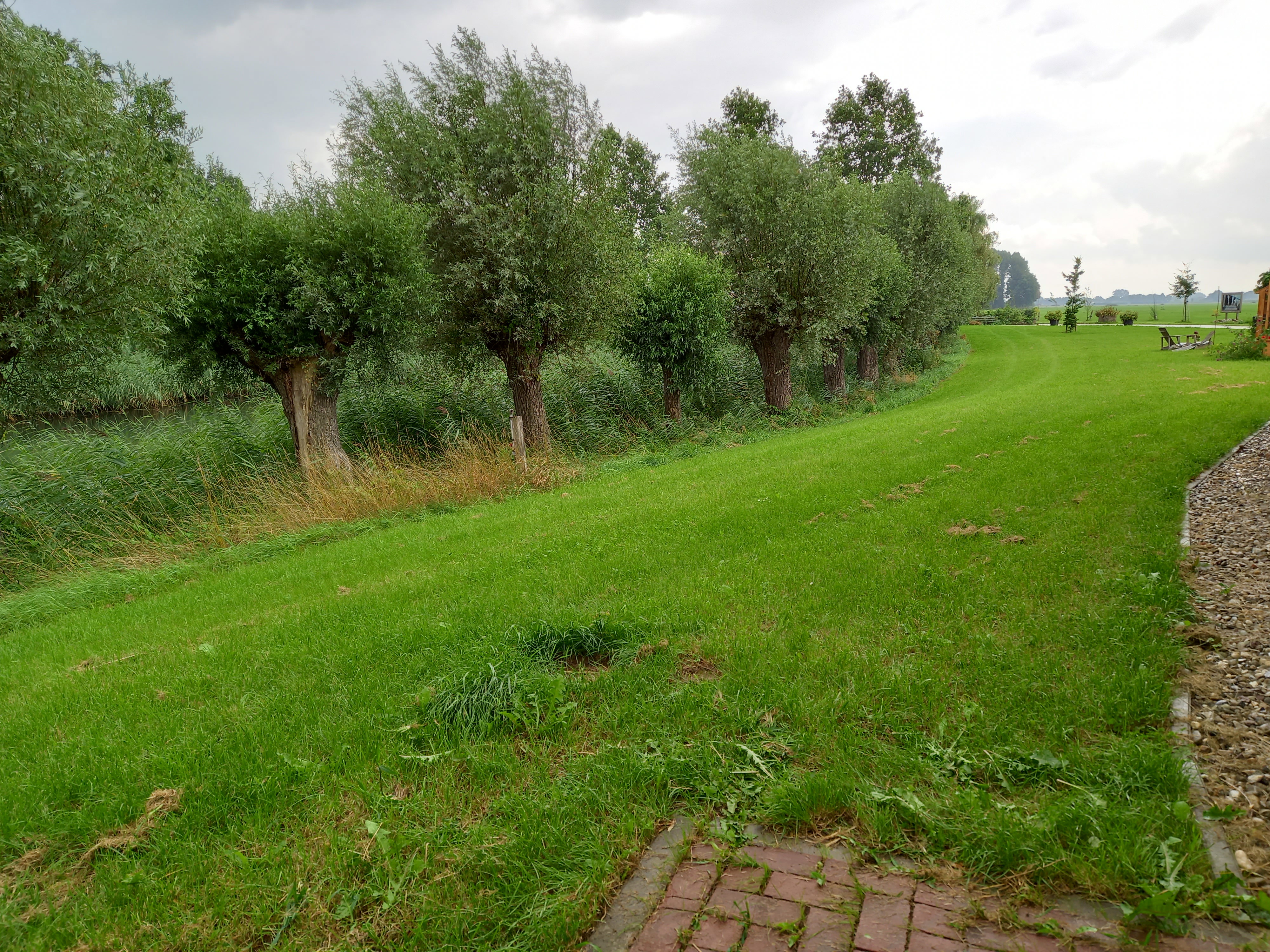 - image: 12