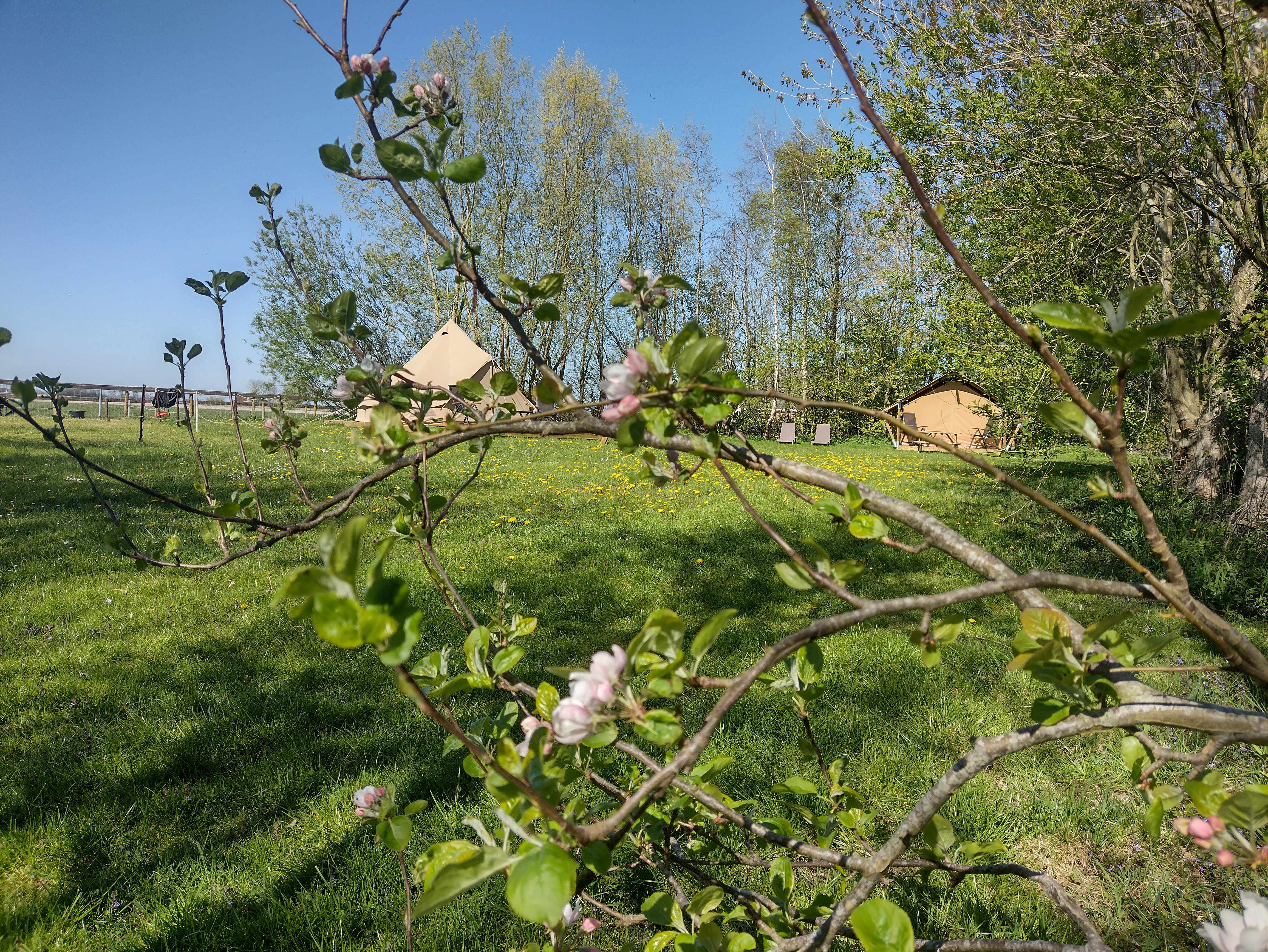 Natuurhuisje in Nijewier