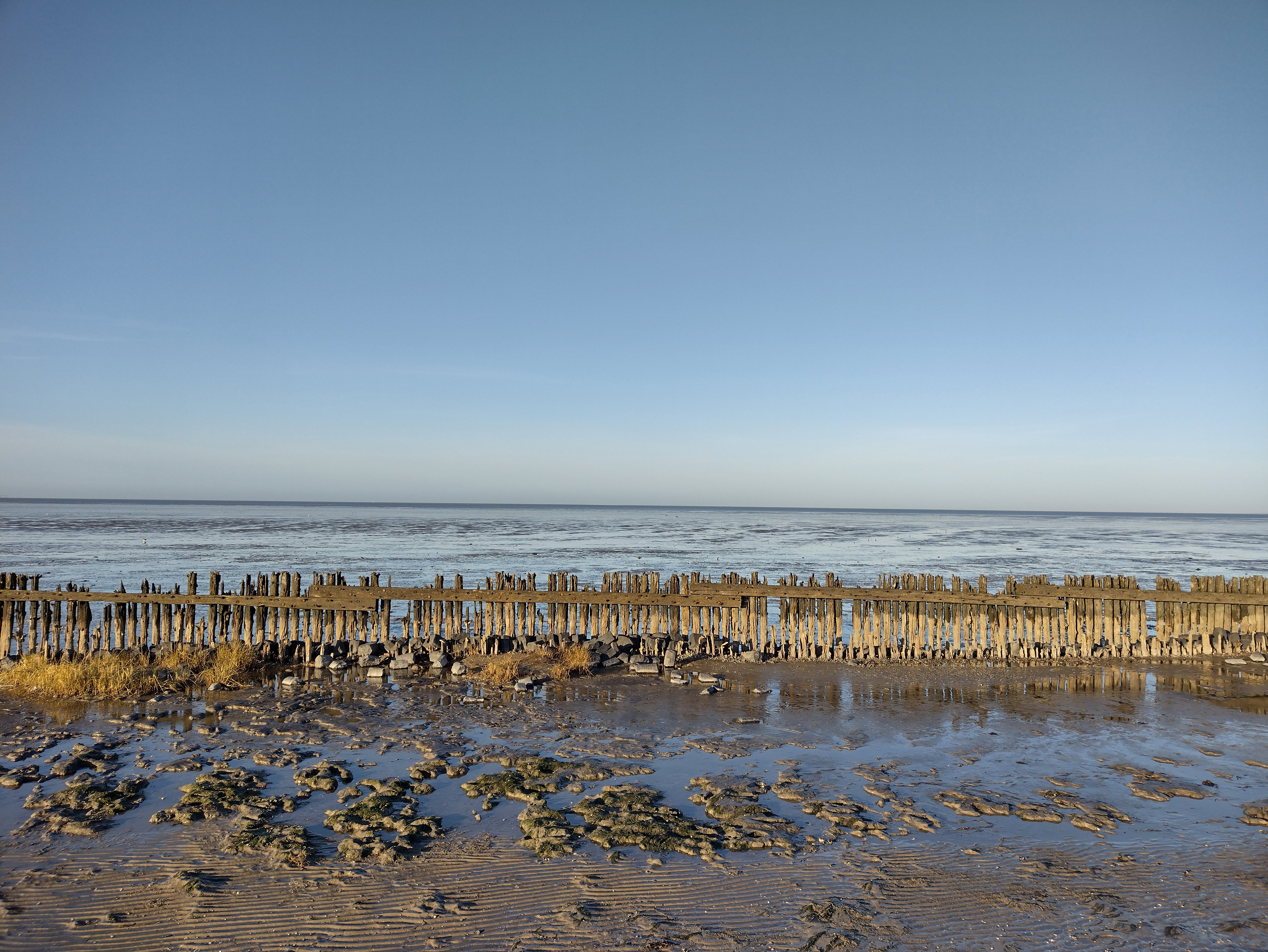 Natuurhuisje in Nijewier