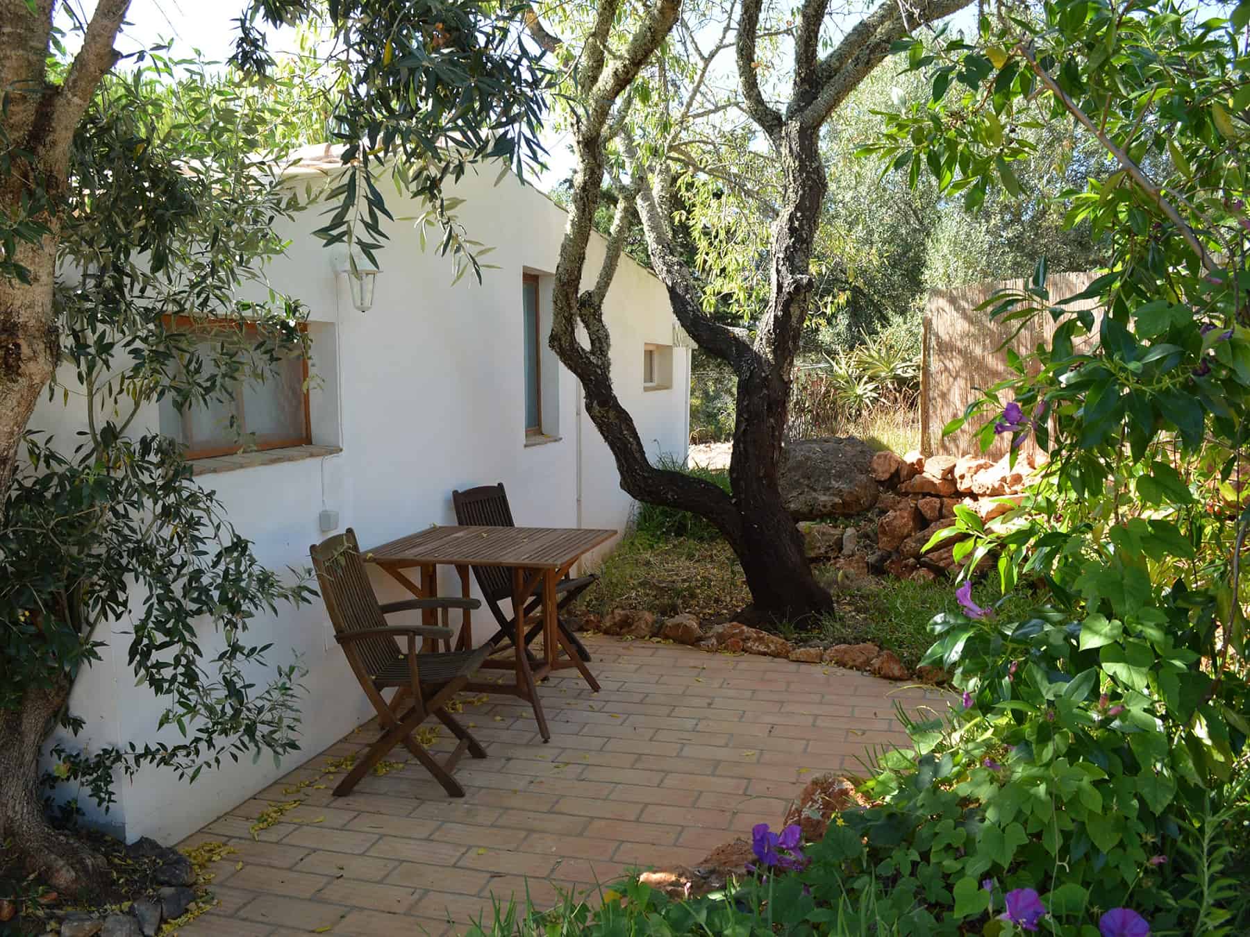 Natuurhuisje in Barão de São João