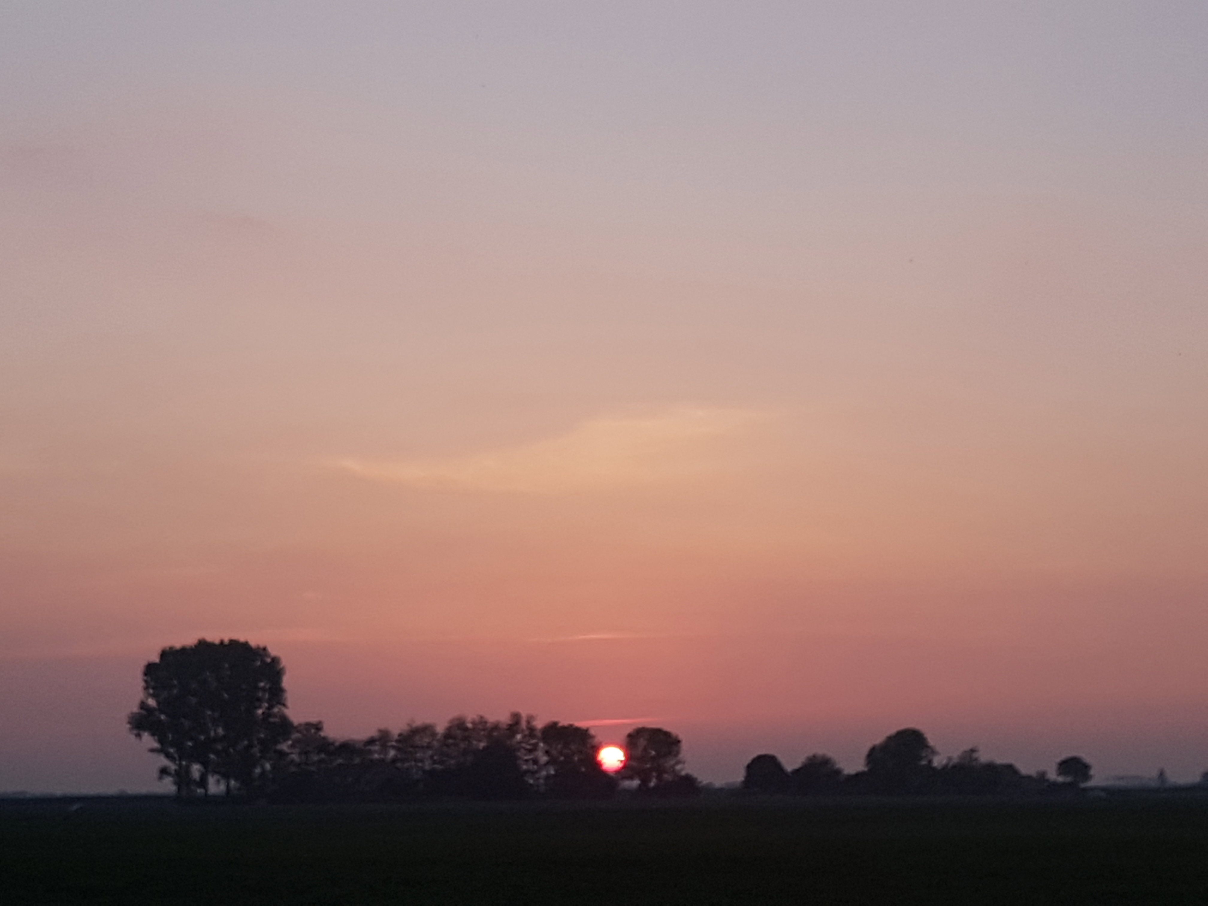 Maison nature à Ezinge
