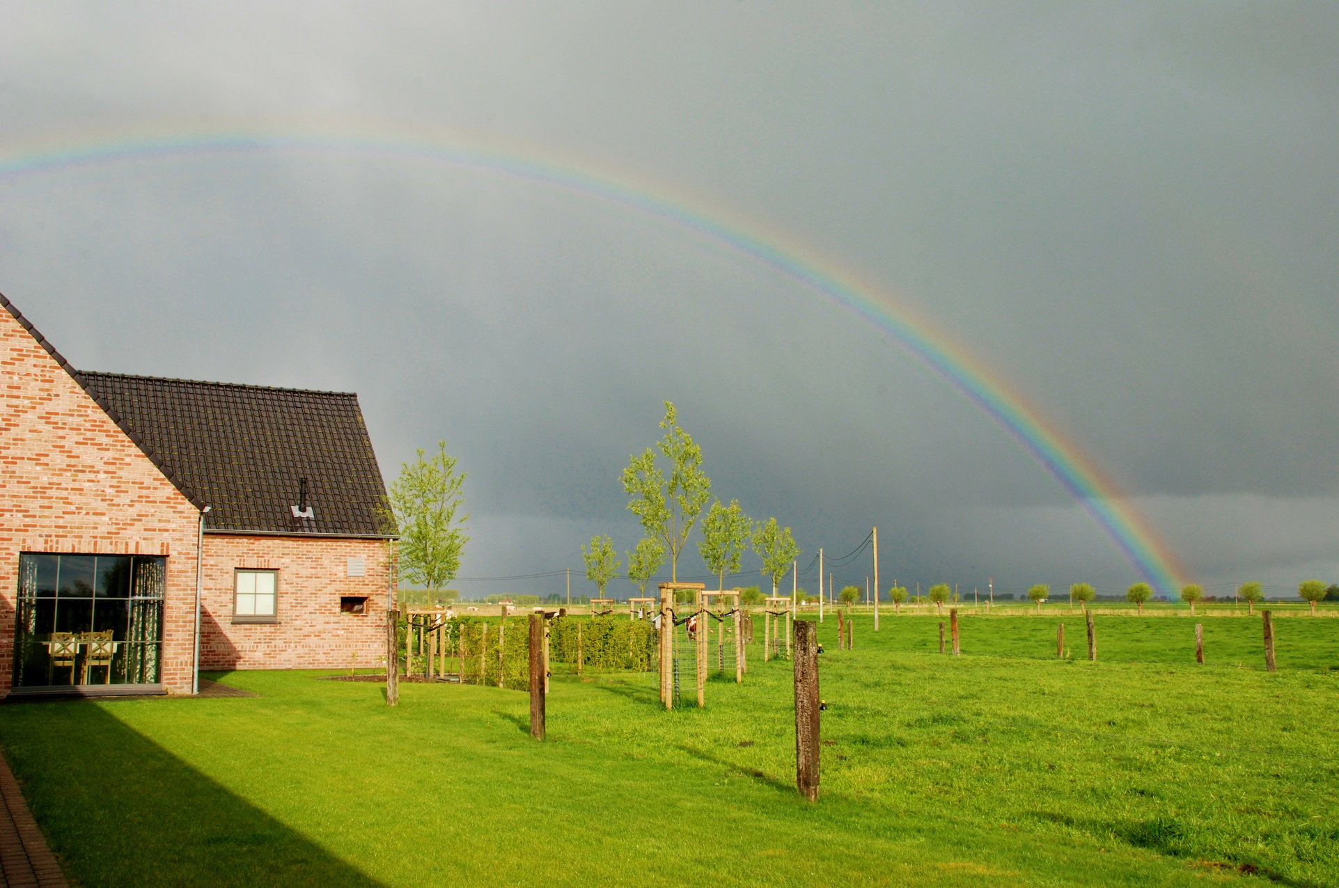 - image: 11