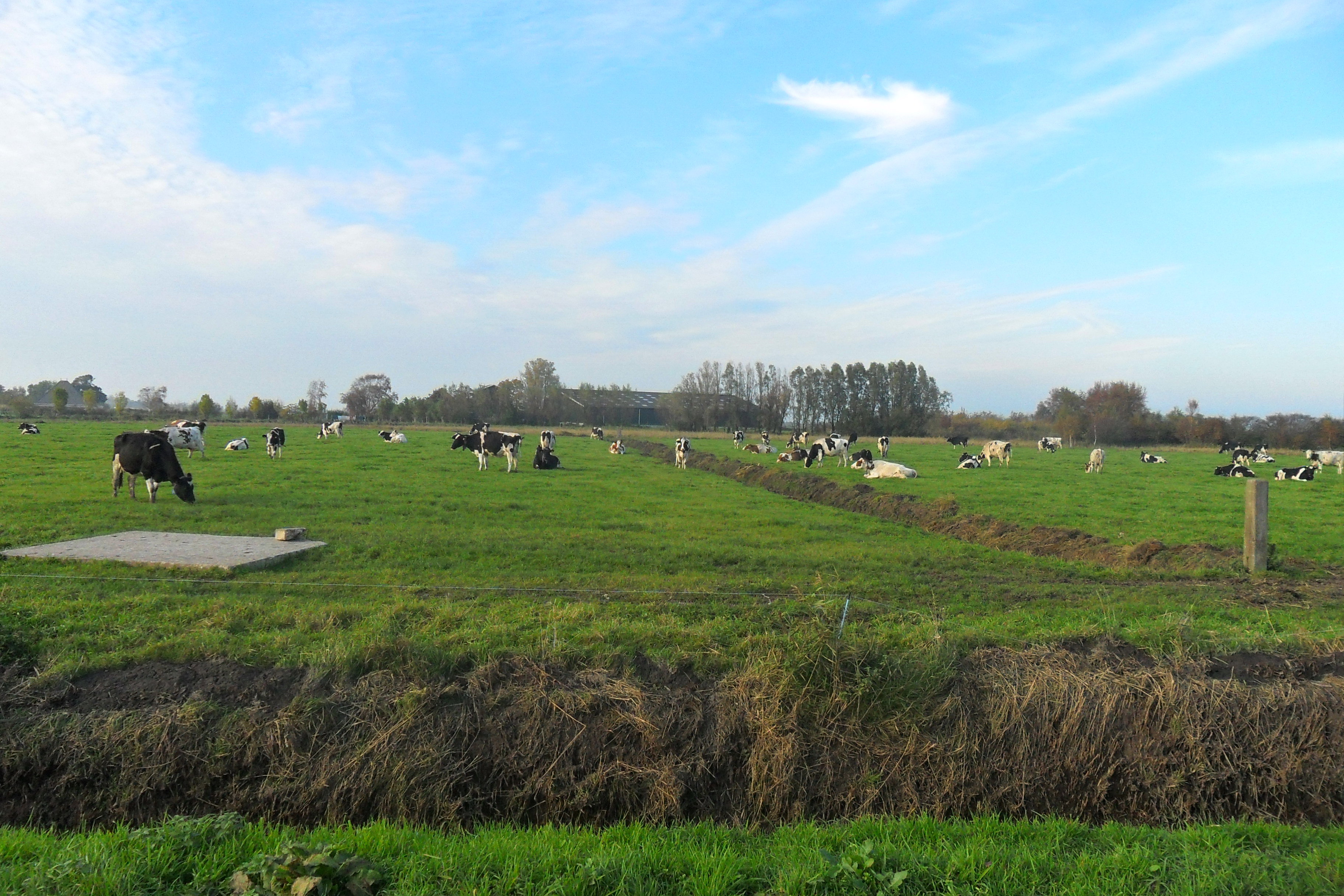 Naturhäuschen in Zuiderwoude