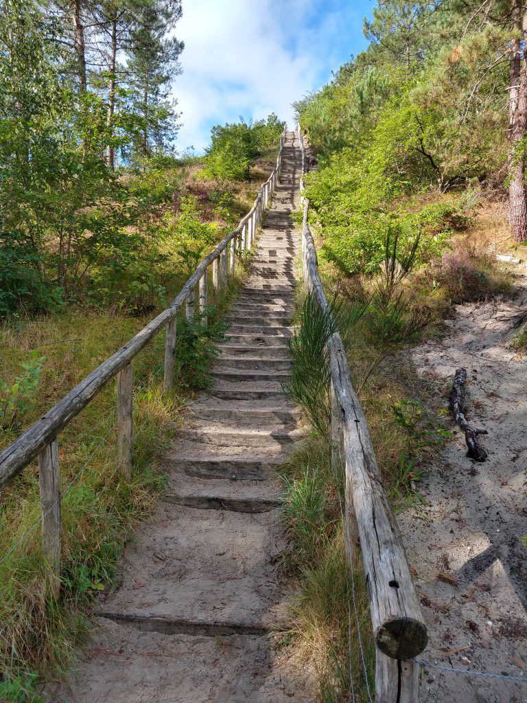 - image: 28