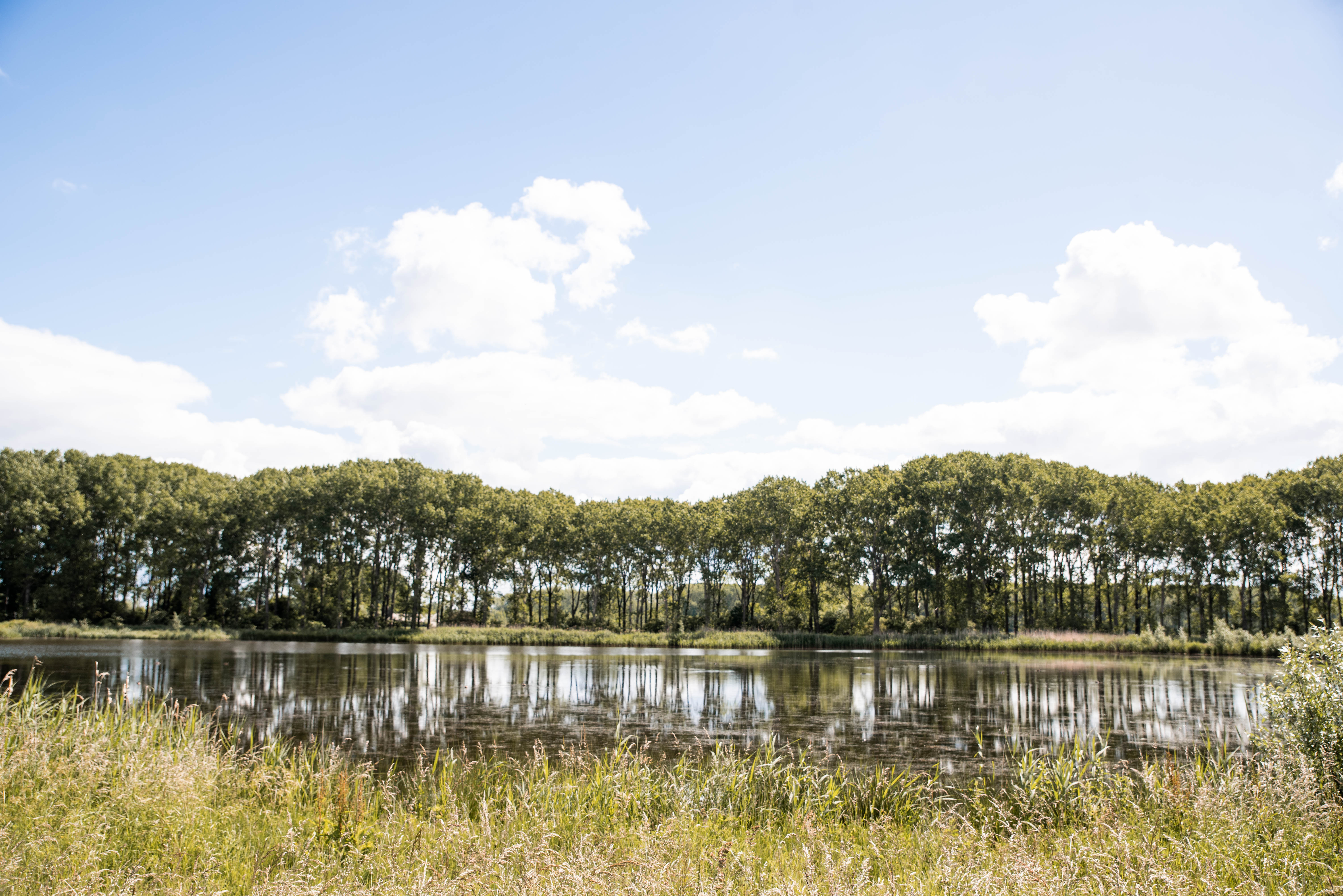 Naturhäuschen in Giessen