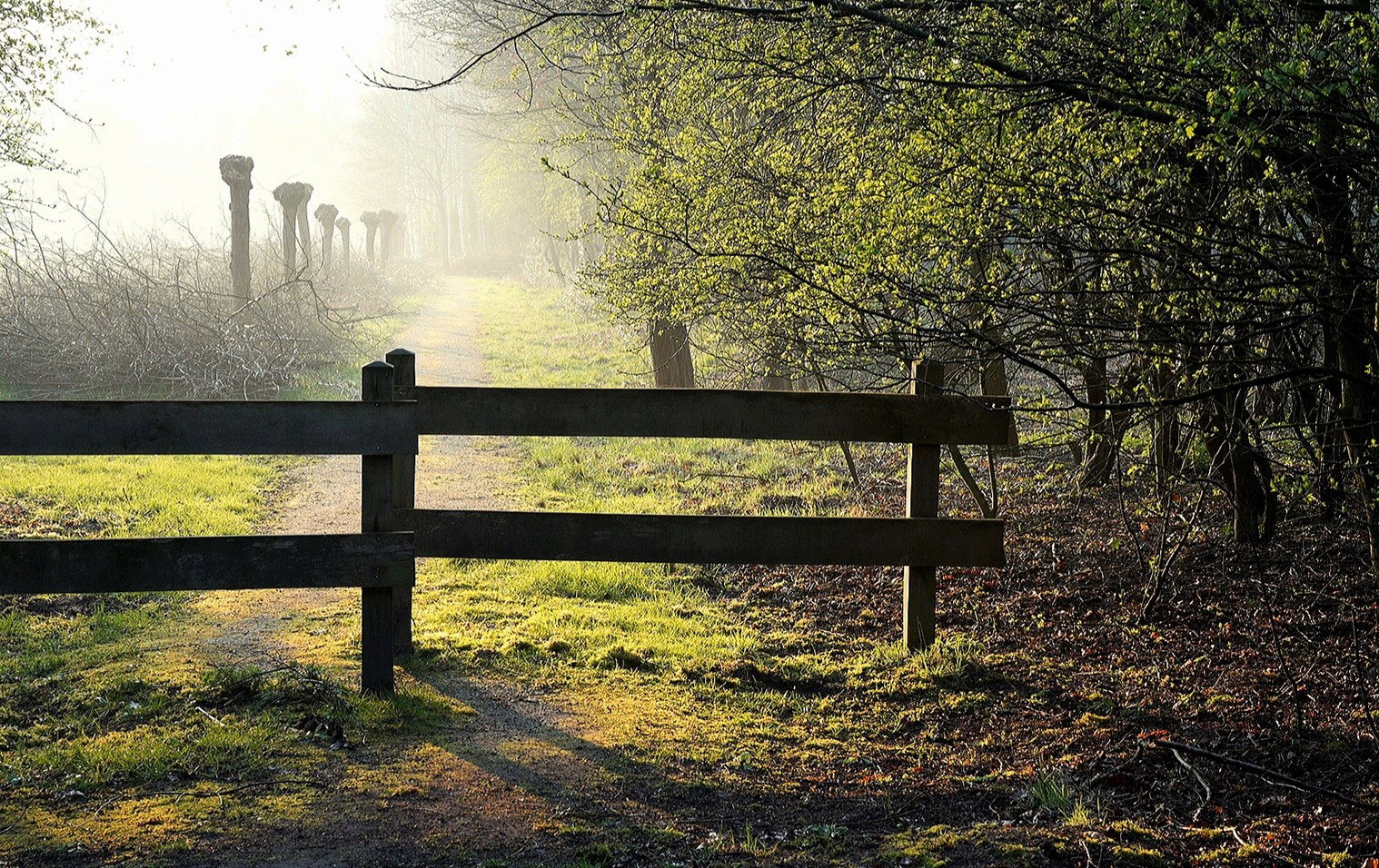 - image: 19