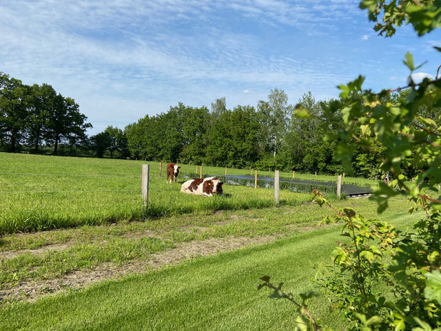 Naturhäuschen in Havelte