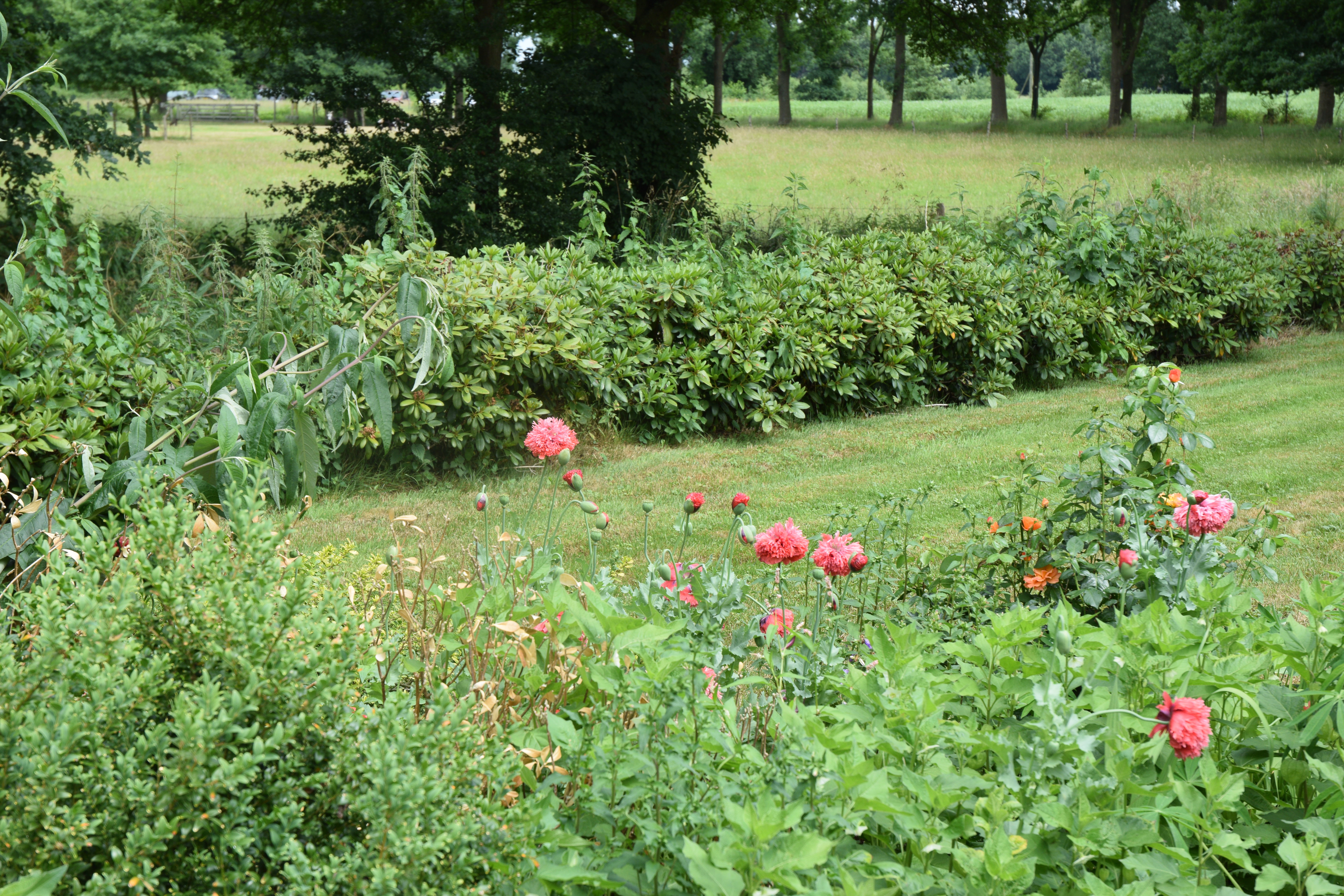 Naturhäuschen in Onstwedde
