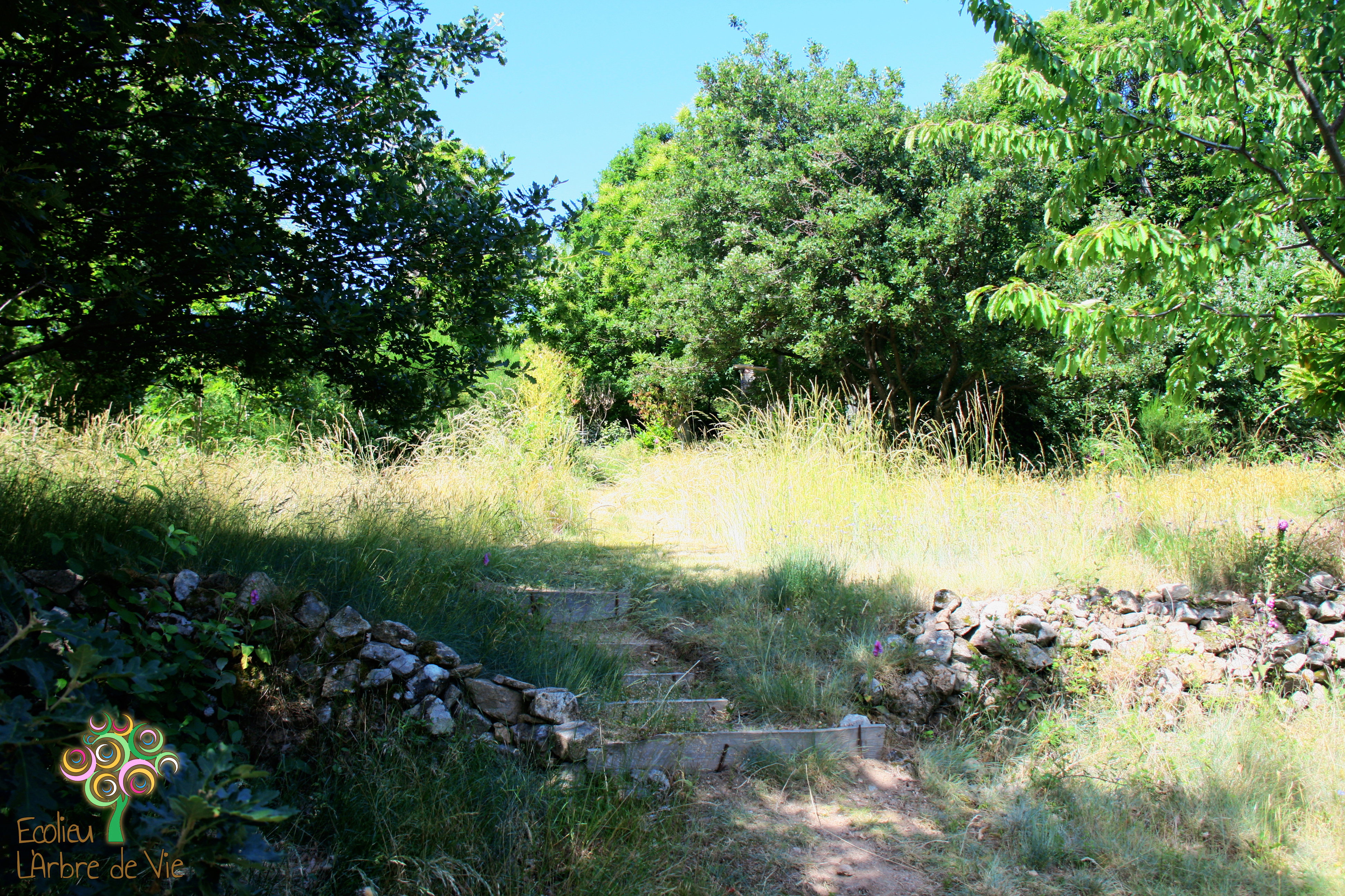 - image: 18