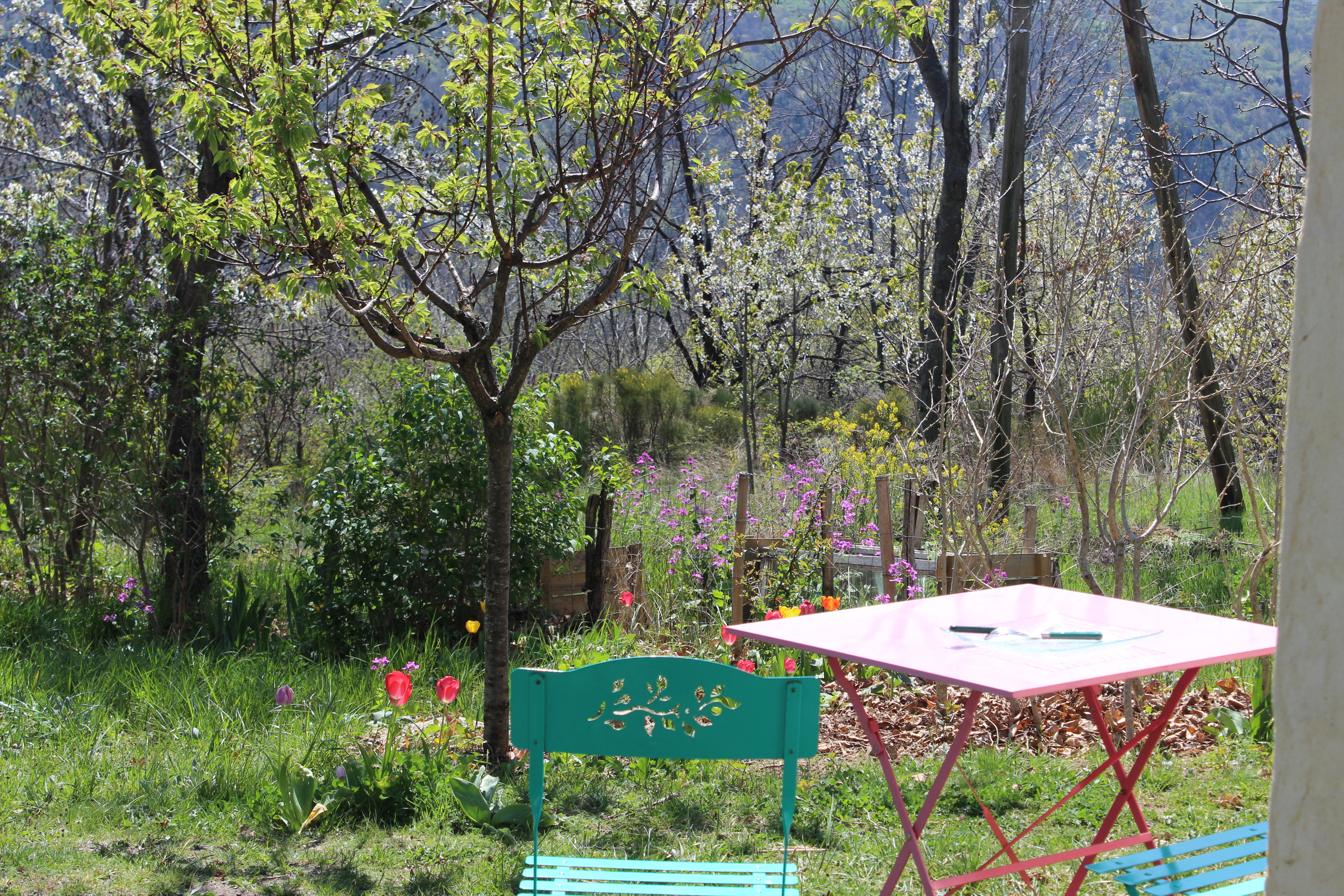 Natuurhuisje in saint Andéol de Vals