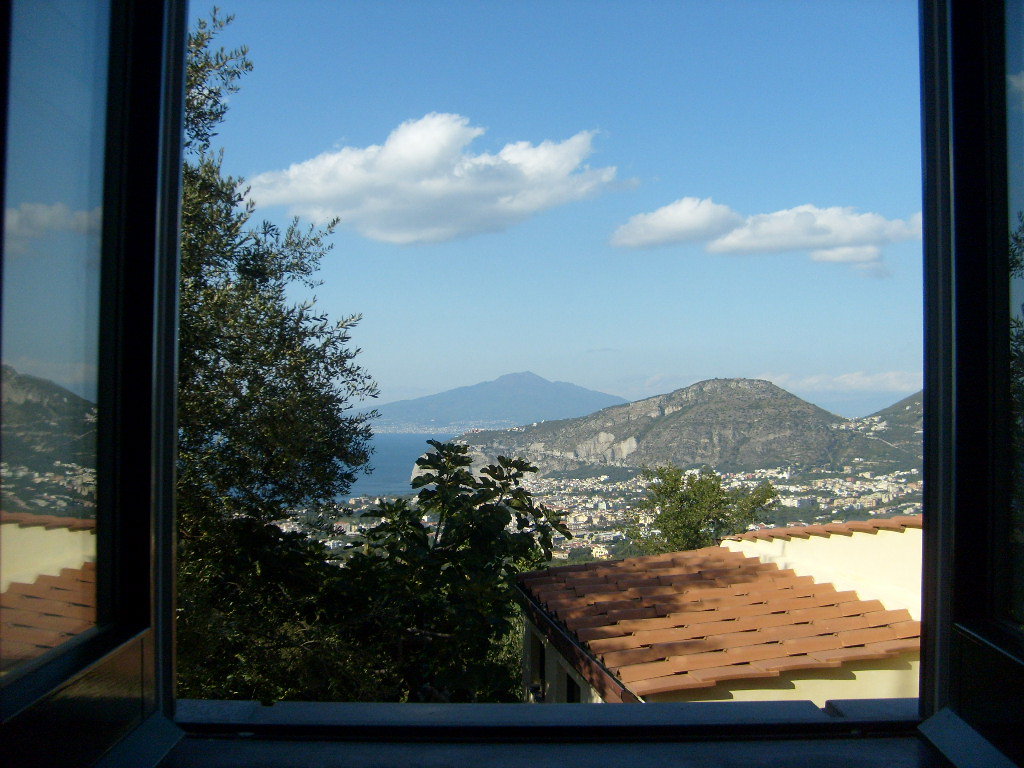 - image: 6