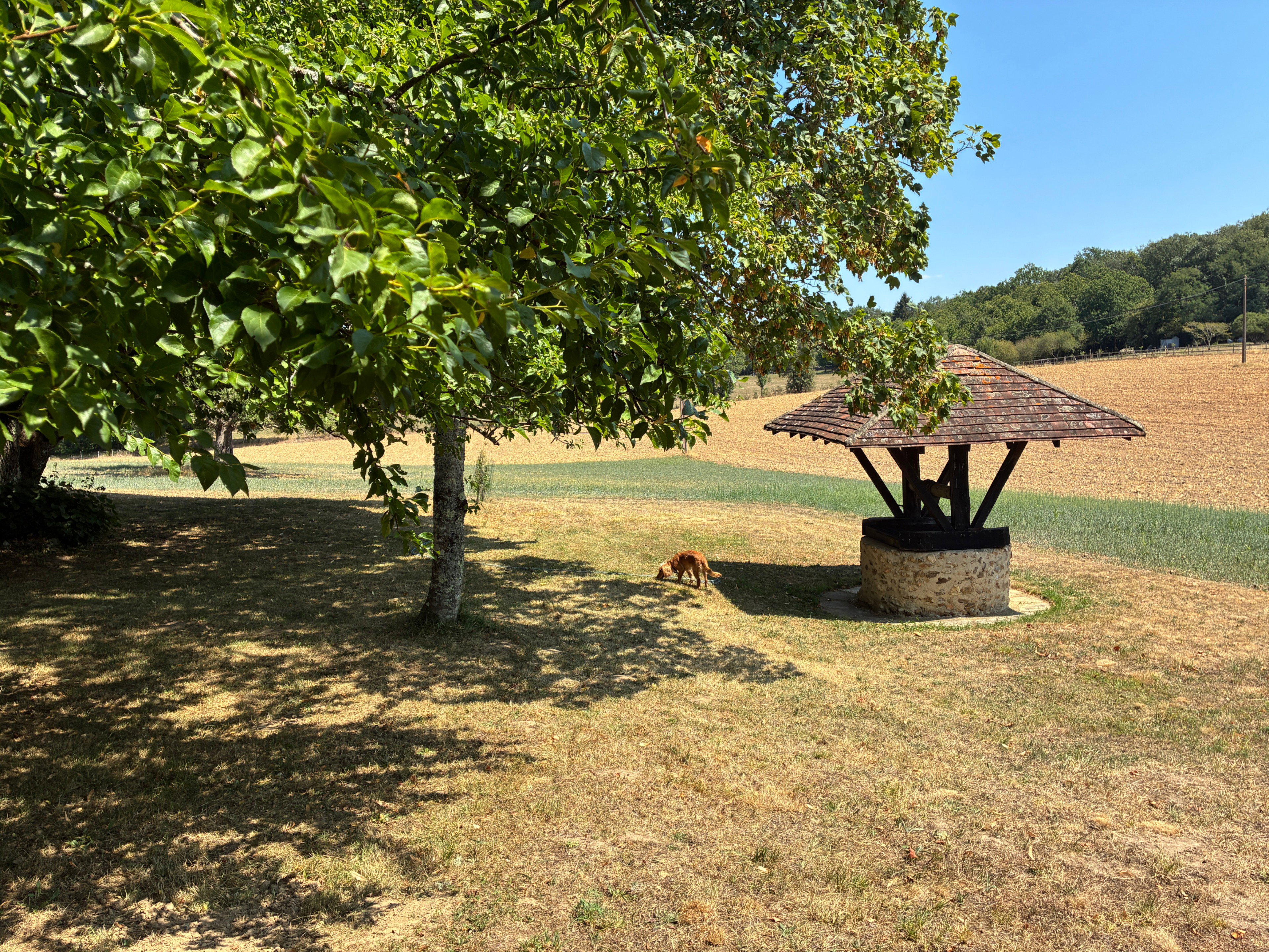 Casa nella natura a Rouffignac Saint Cernin de Reilhac