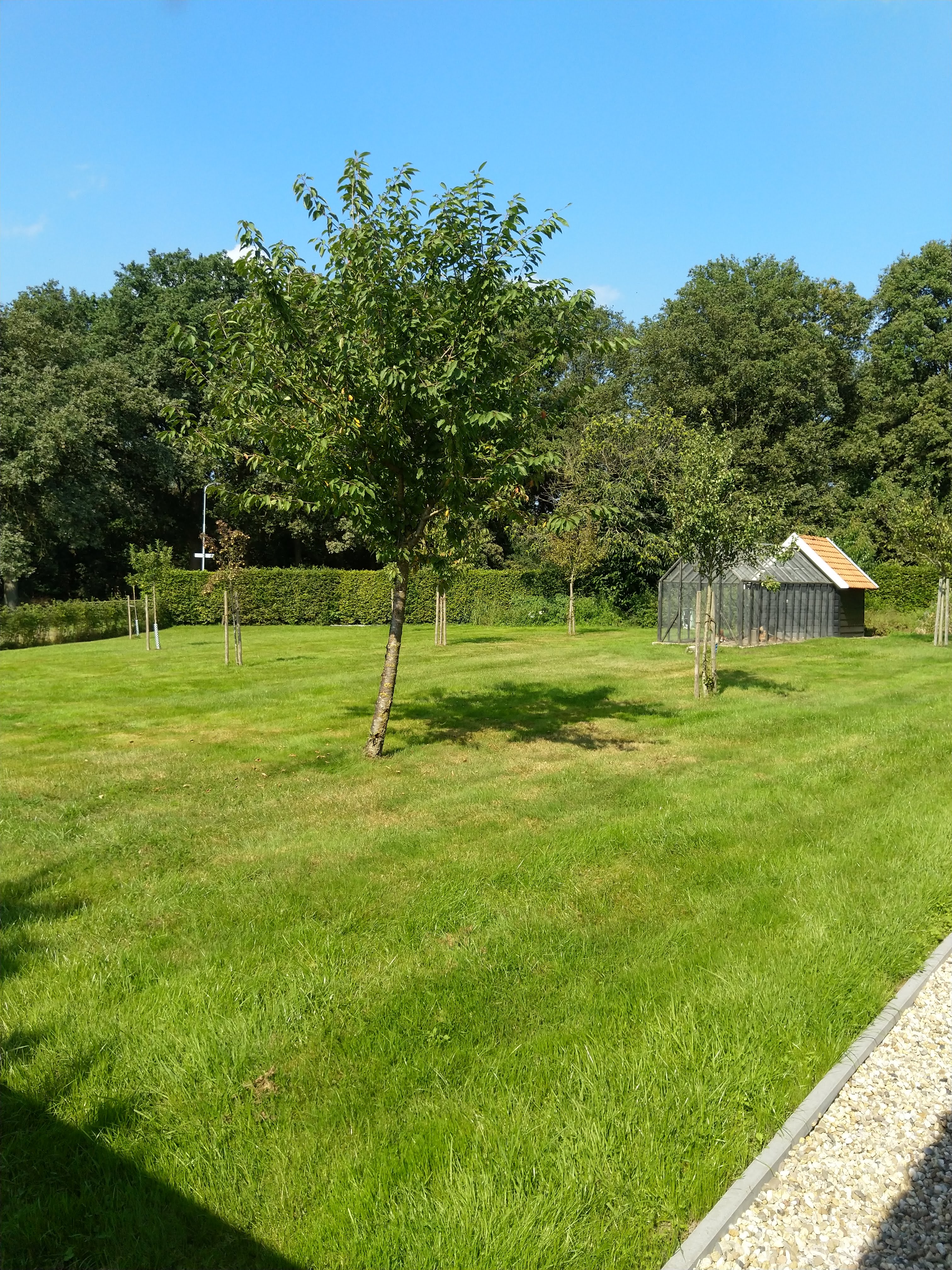 Natuurhuisje in Overasselt