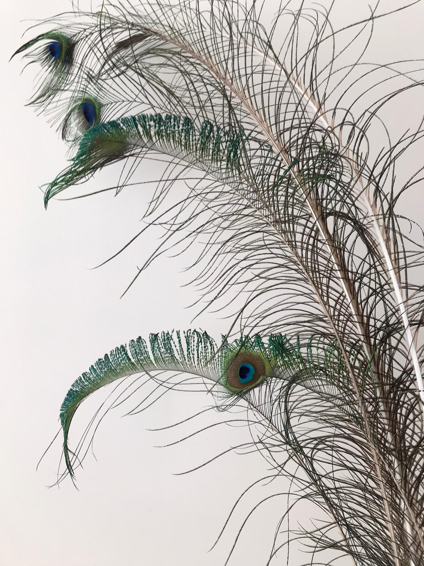 Naturhäuschen in Meerdonk