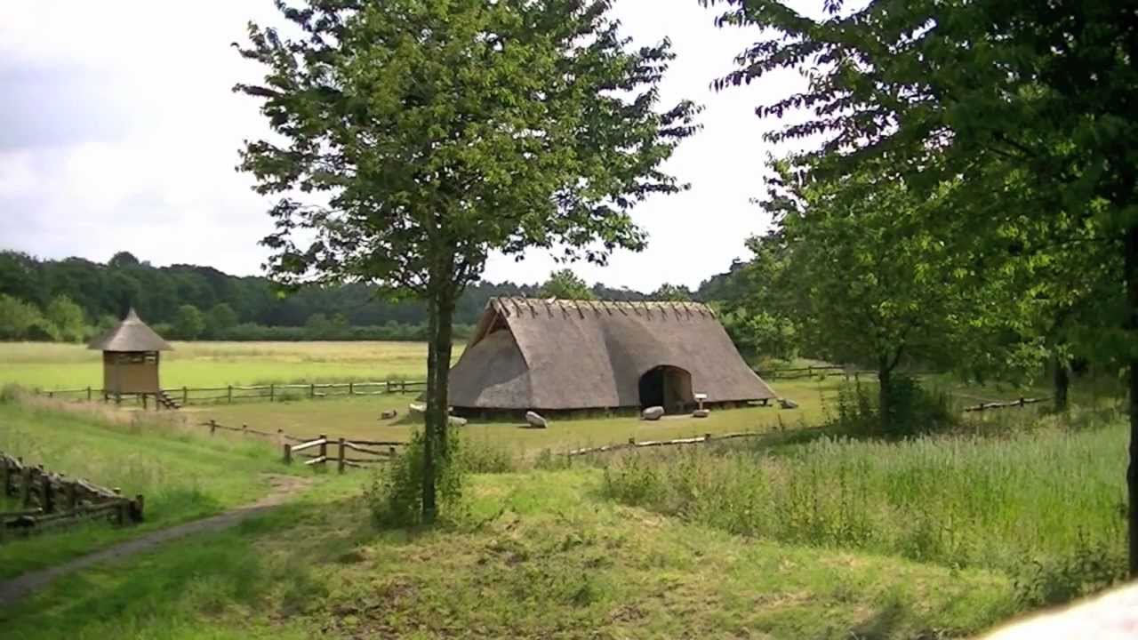 - image: 40