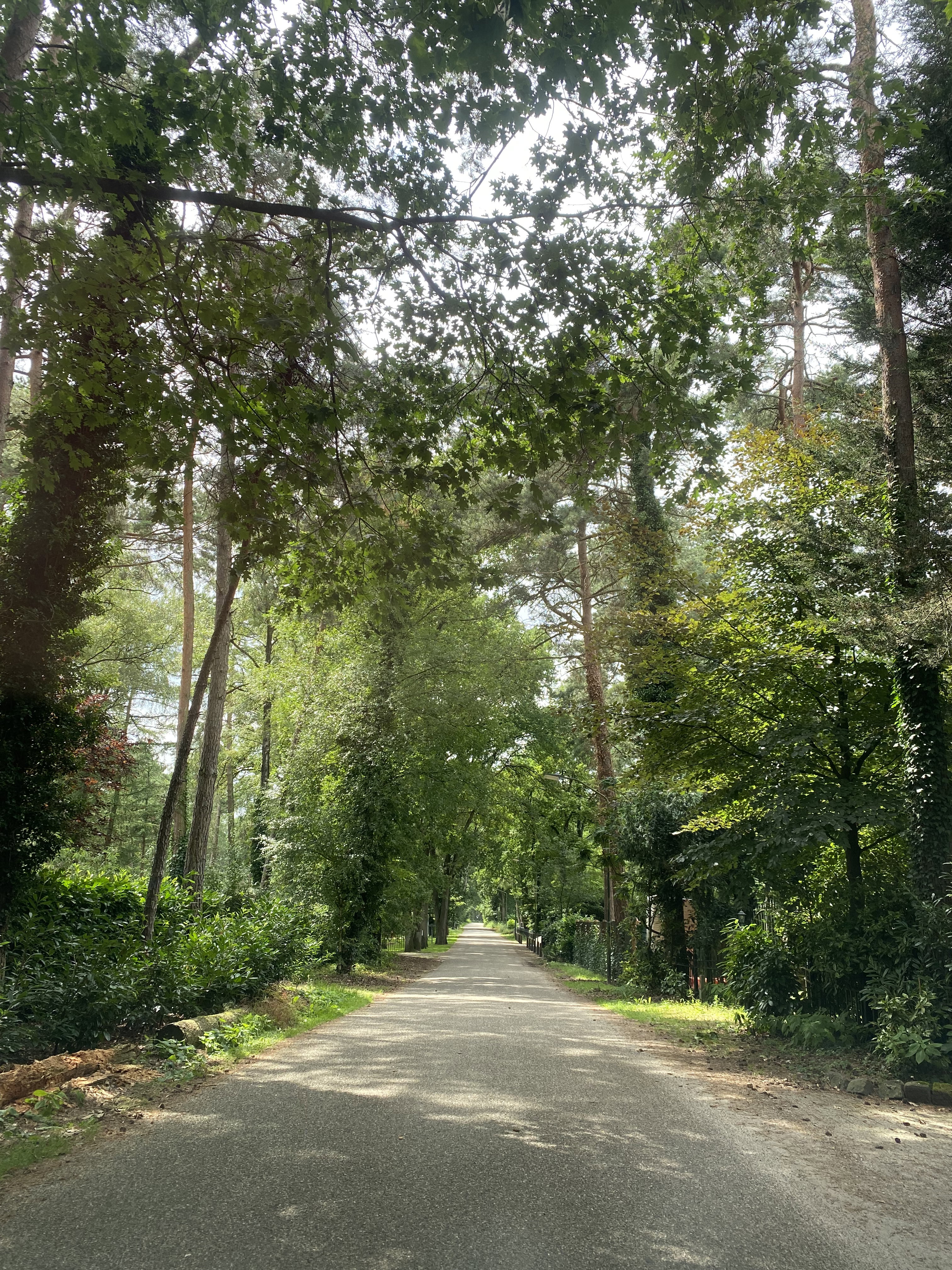 Naturhäuschen in Oisterwijk