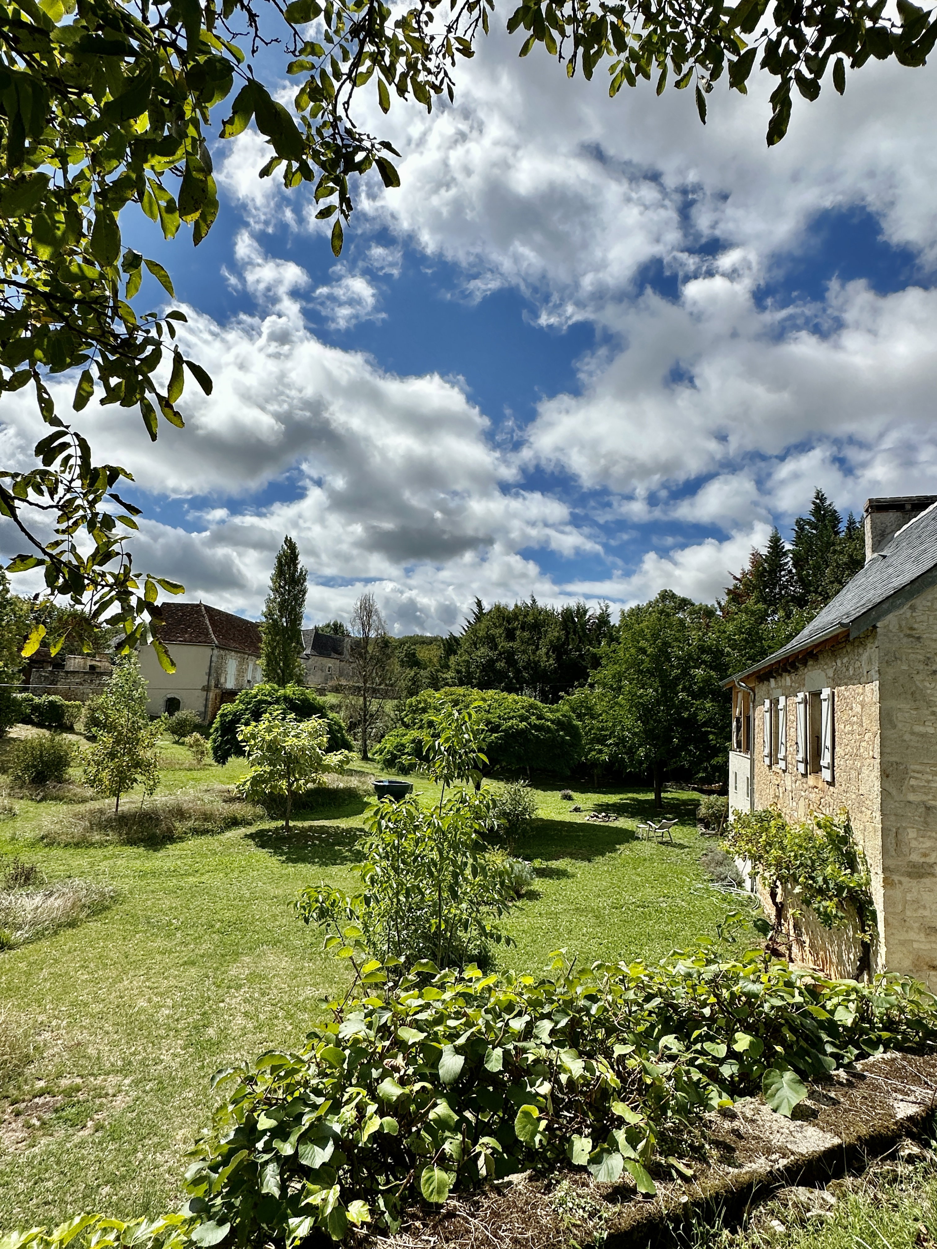 - image: 43