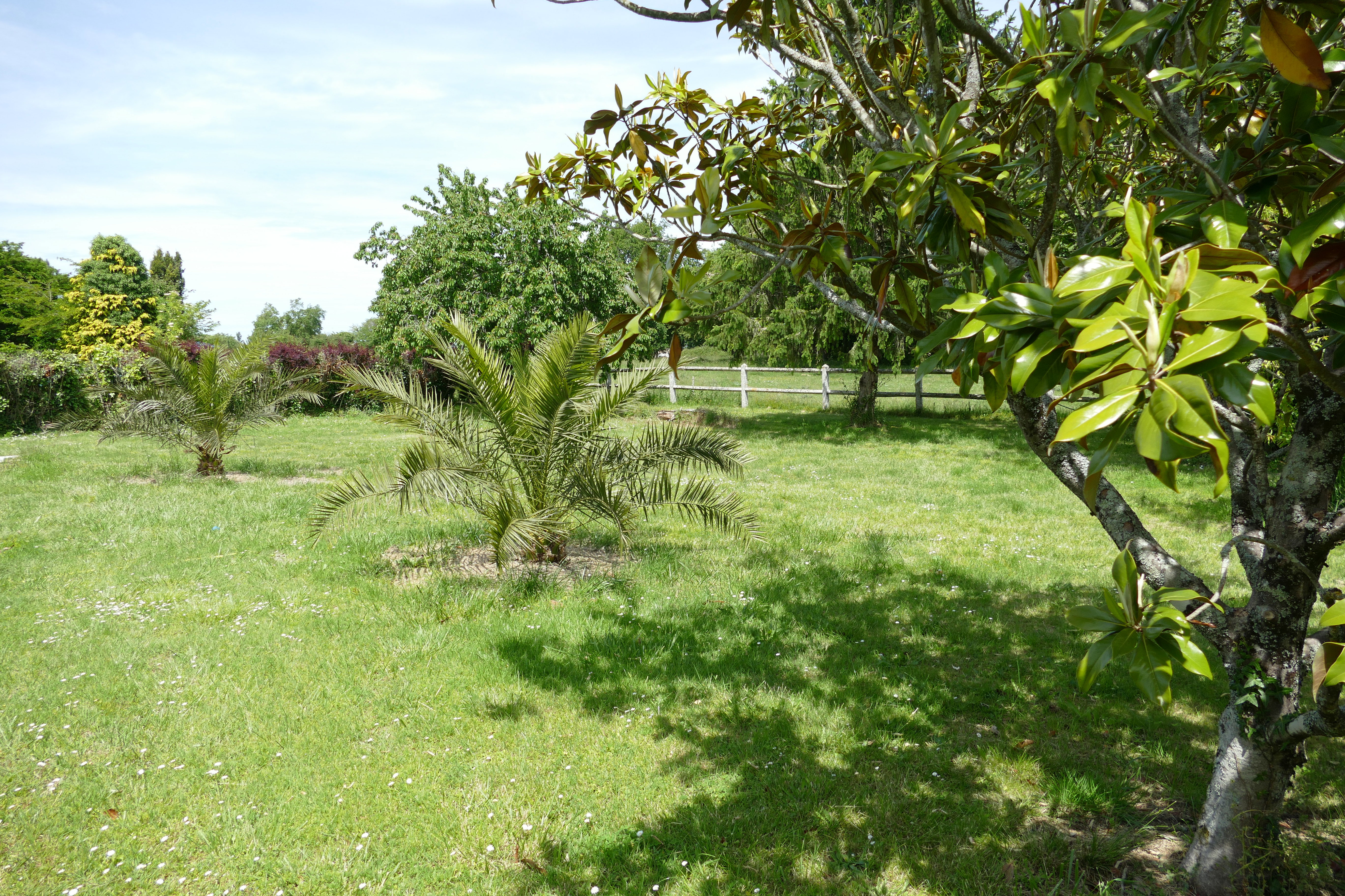 - image: 12