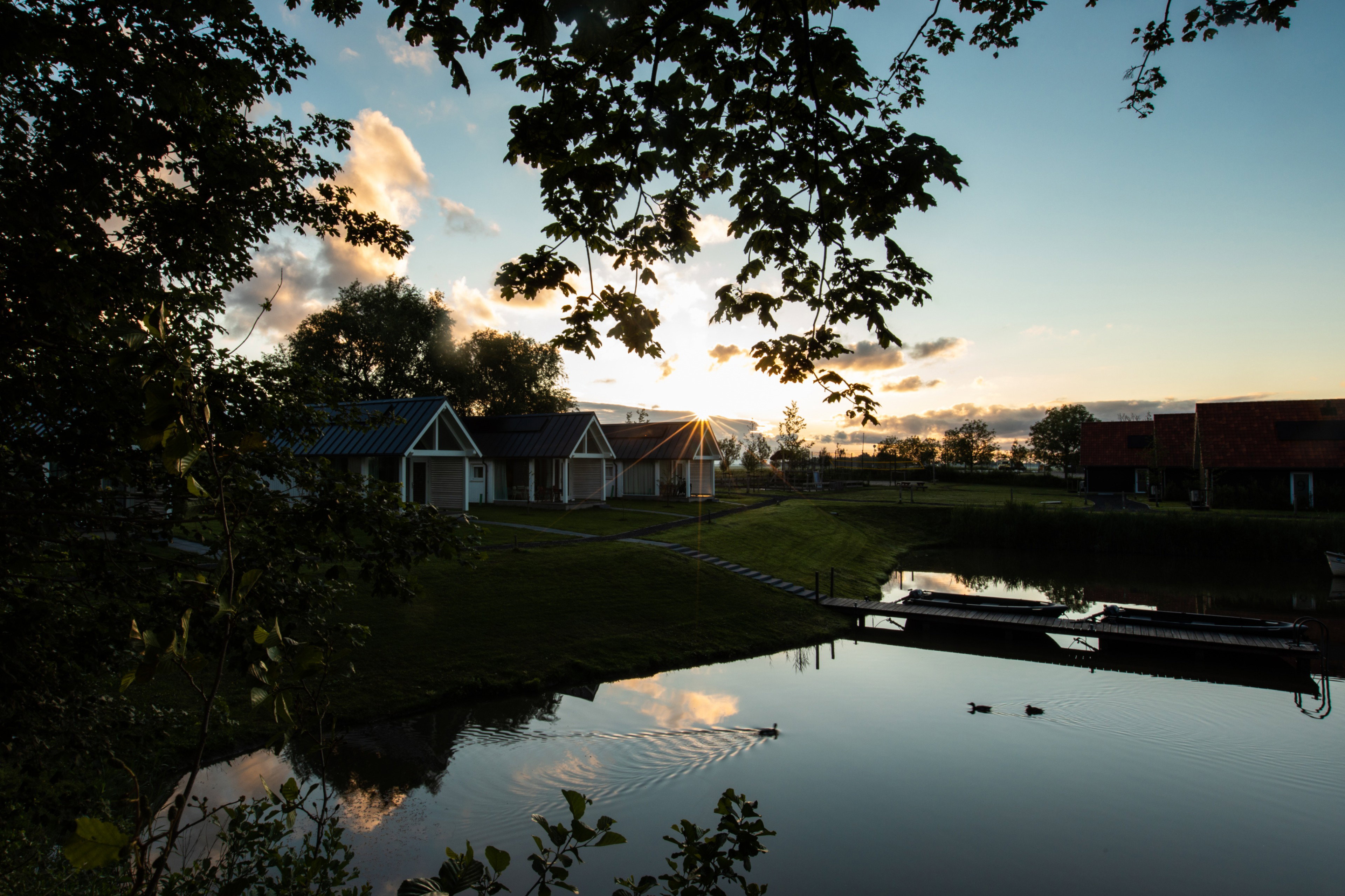 Maison nature à Dokkum