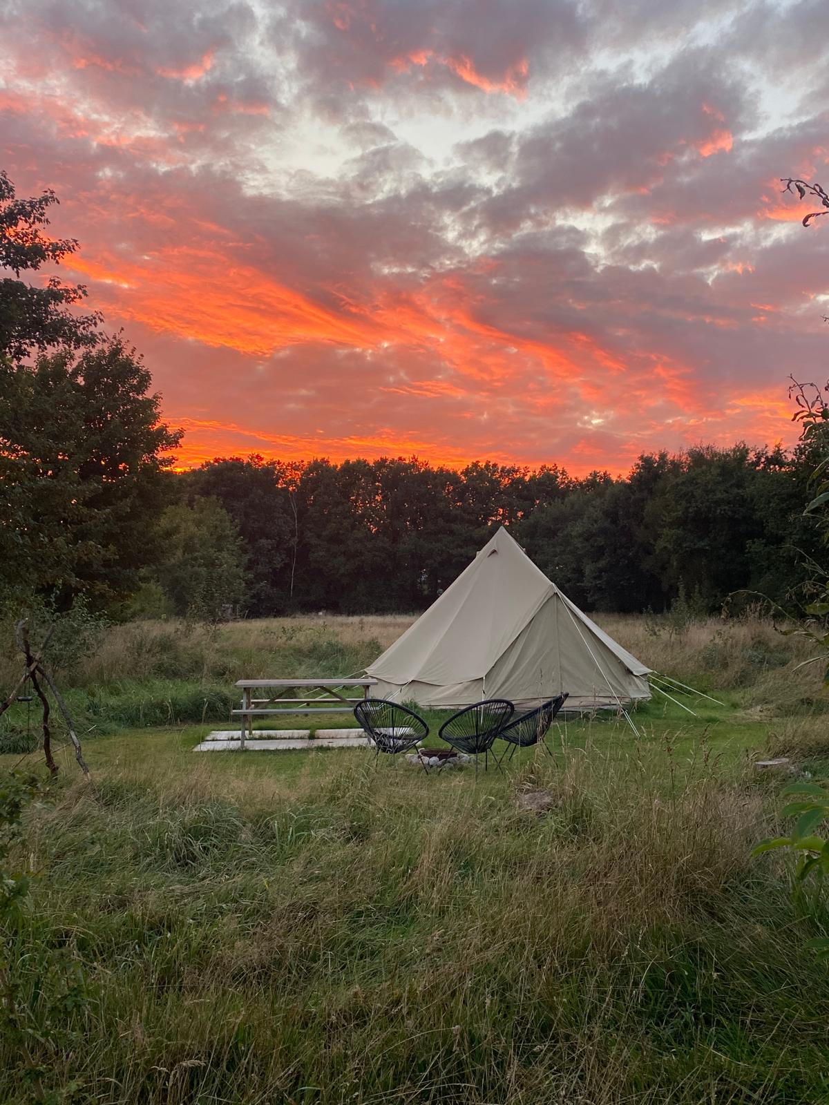Natuurhuisje in Siegerswoude