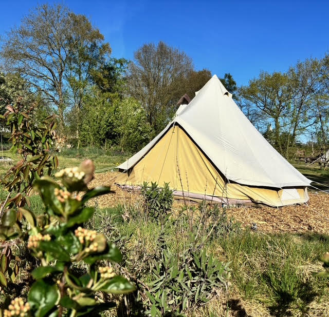 Nature house in Siegerswoude